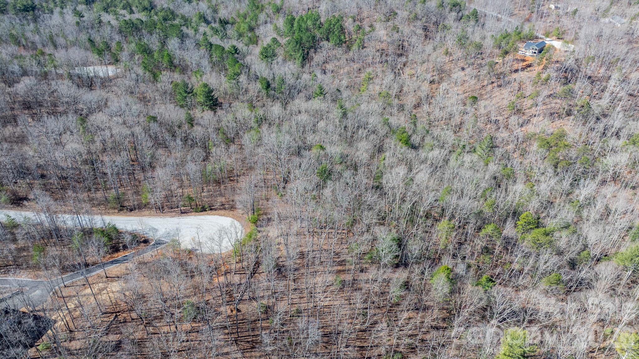 Lot at TBD Dirksen Avenue, Nebo, photo 11 of 23