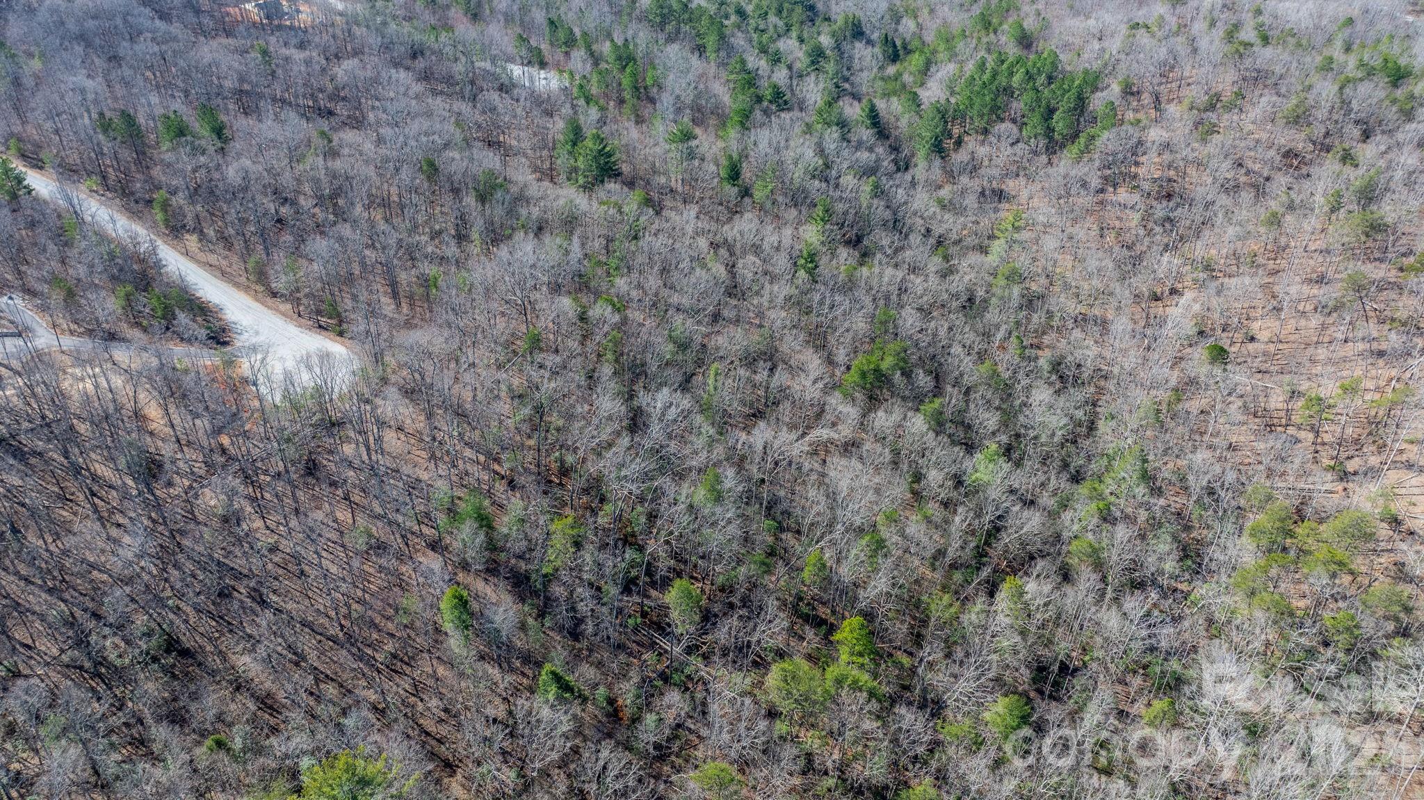Lot at TBD Dirksen Avenue, Nebo, photo 14 of 23