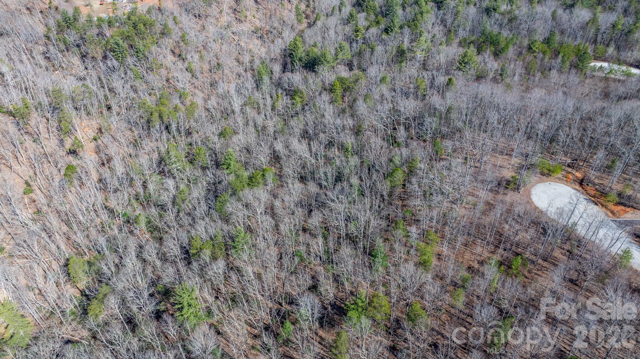 Lot at TBD Dirksen Avenue, Nebo, photo 16 of 23