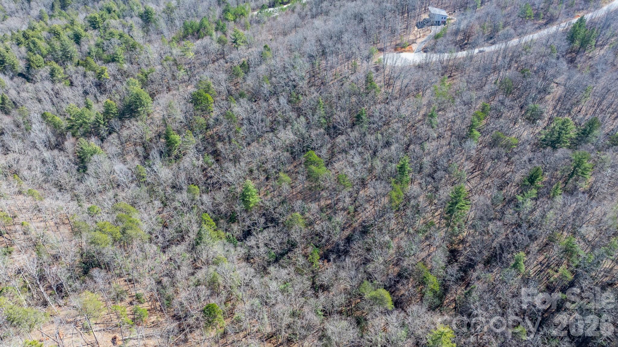 Lot at TBD Dirksen Avenue, Nebo, photo 19 of 23