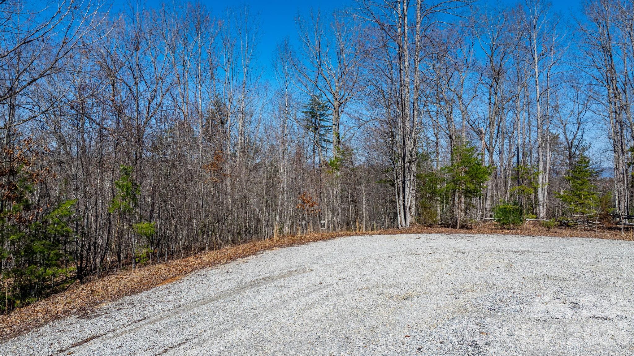 Lot at TBD Dirksen Avenue, Nebo, photo 21 of 23
