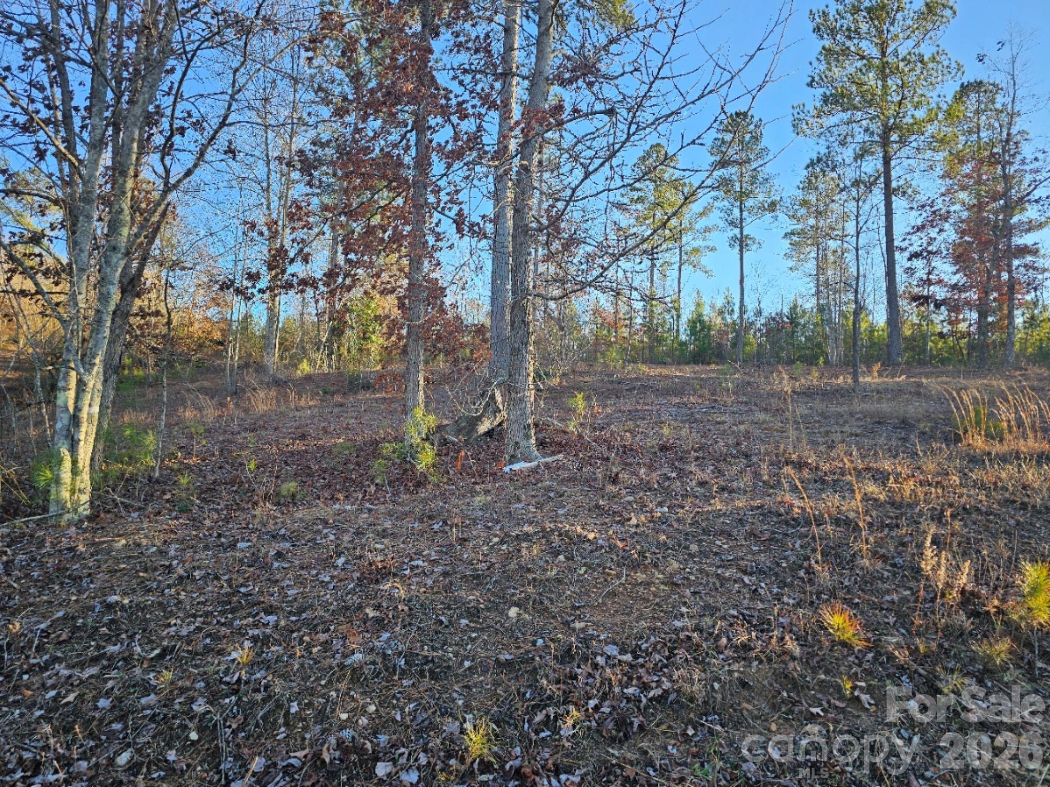 Lot at 2167 Inlet Shore Road NE, Connelly Springs, photo 4 of 15