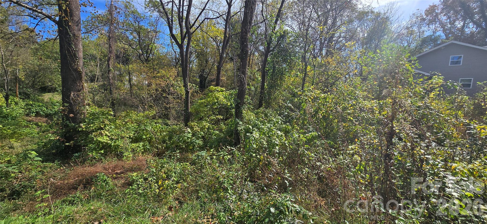 Lot at 520 Healan Place NW, Lenoir, photo 2 of 6