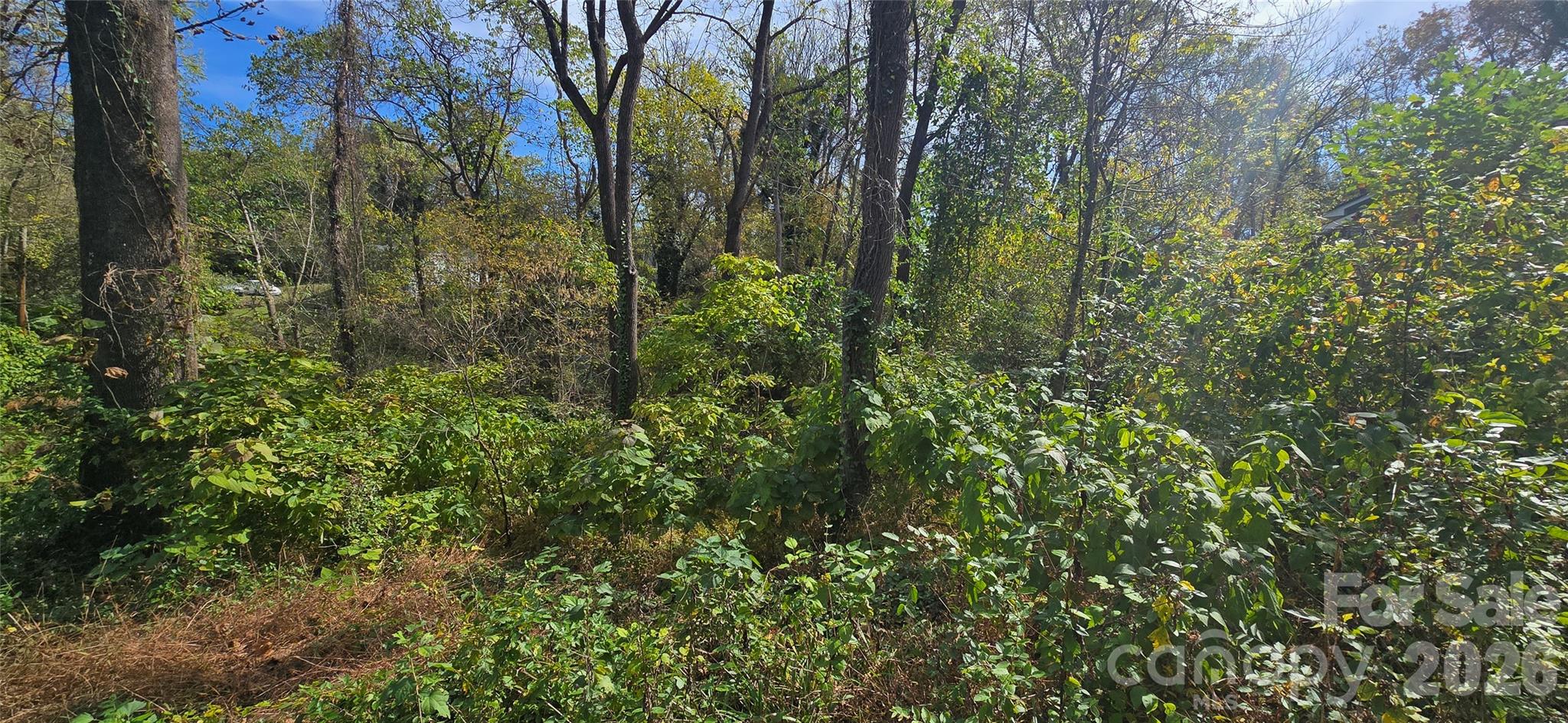 Lot at 520 Healan Place NW, Lenoir, photo 3 of 6