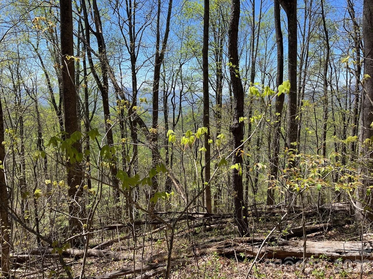 Acreage at 0 Crackin Chestnut Lane, Sylva, photo 2 of 9