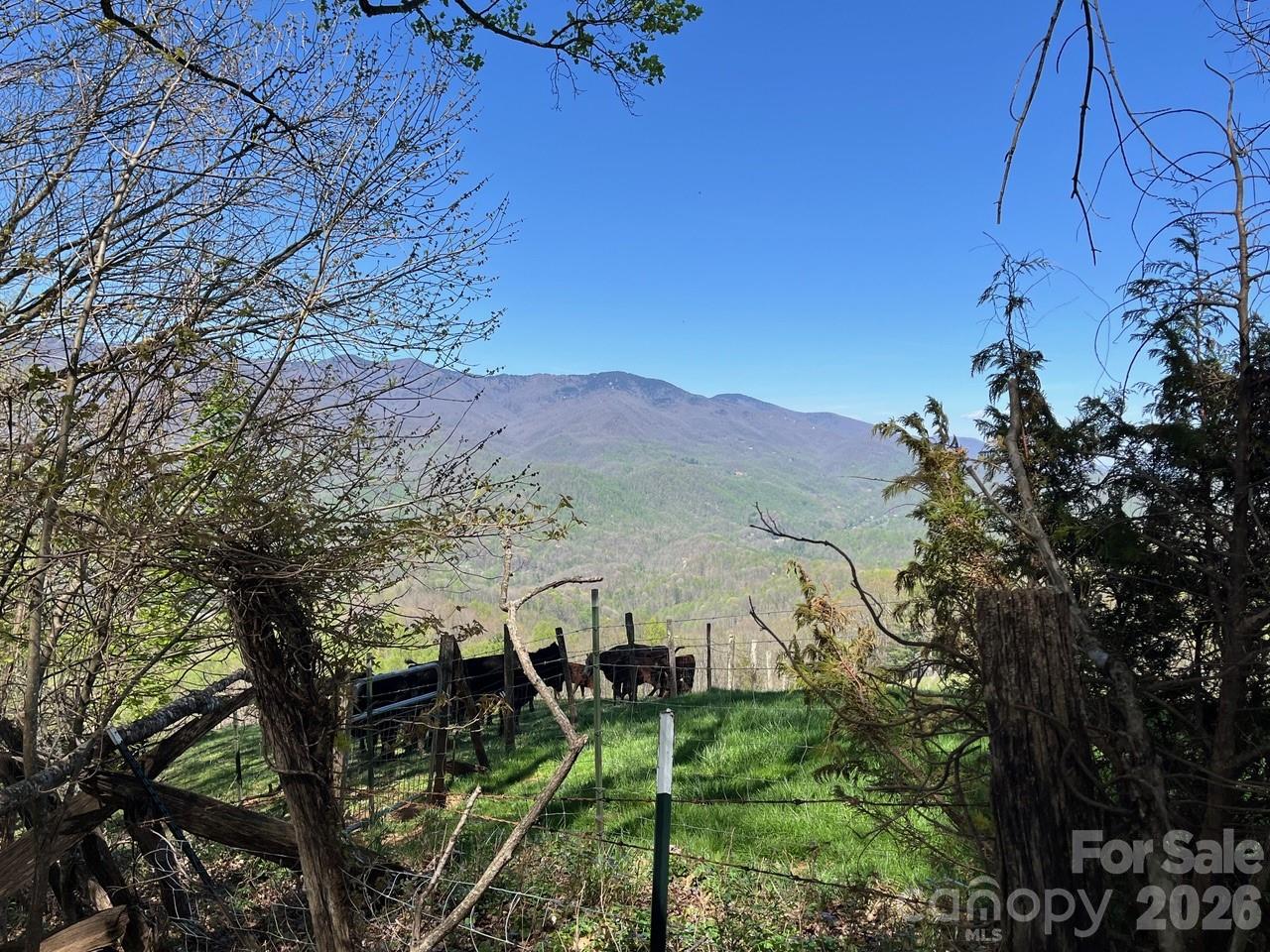 Acreage at 0 Crackin Chestnut Lane, Sylva, photo 3 of 9