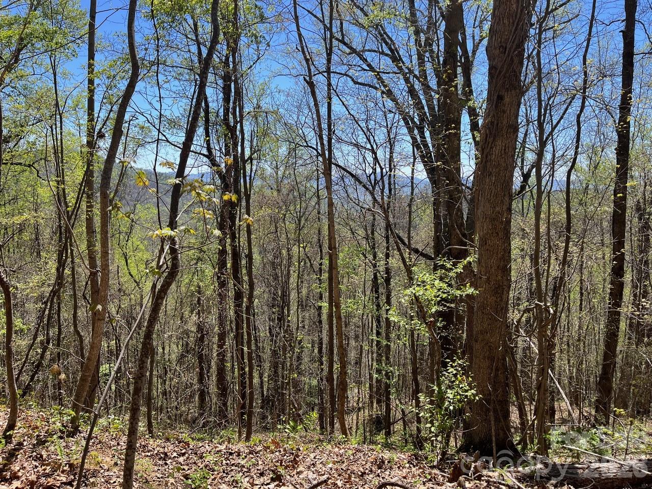 Acreage at 0 Crackin Chestnut Lane, Sylva, photo 4 of 9
