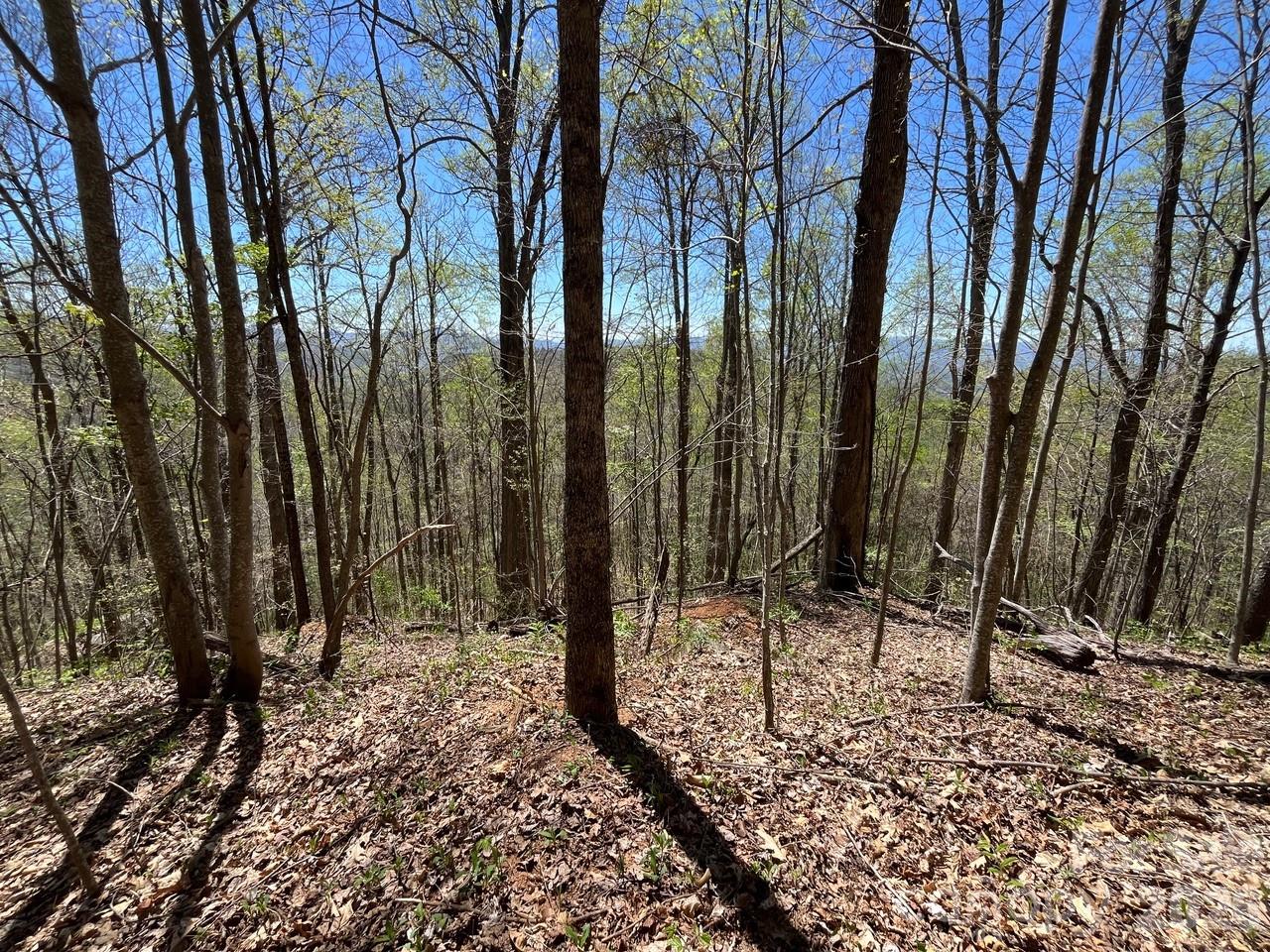 Acreage at 0 Crackin Chestnut Lane, Sylva, photo 6 of 9