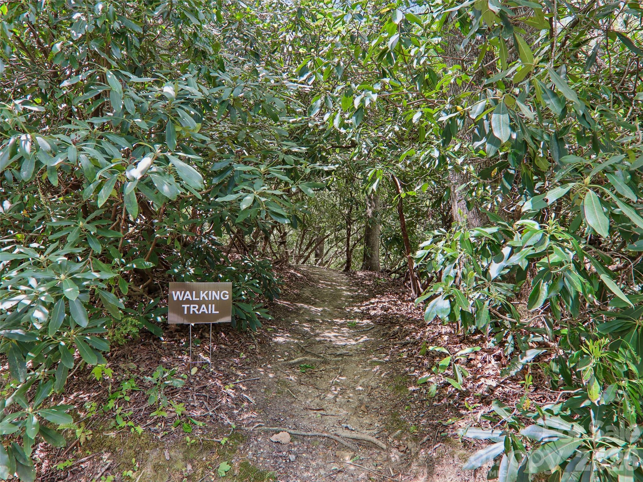 Private walking trail - 554 Pisgah Forest Drive, Pisgah Forest