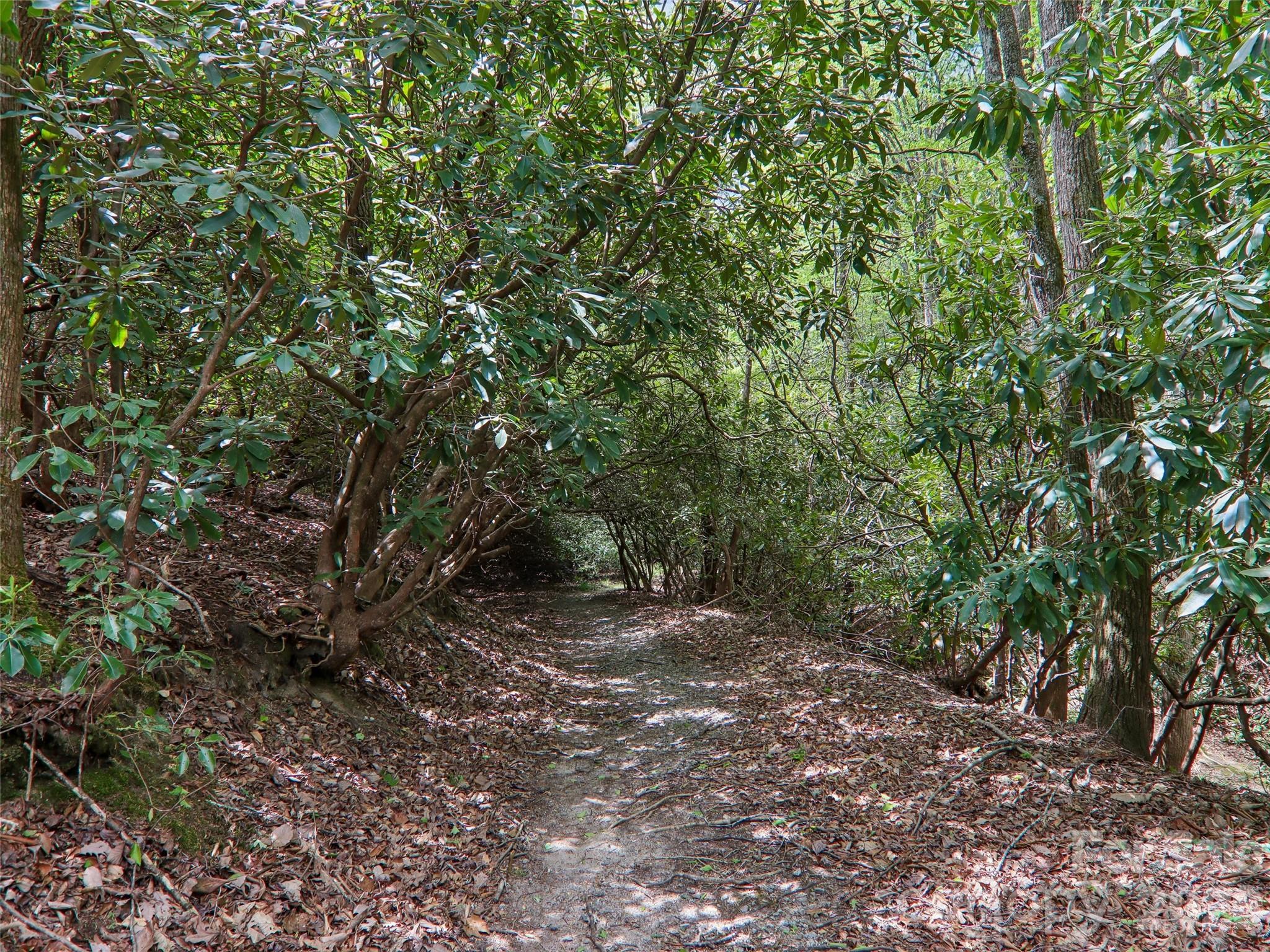 Well maintained - 554 Pisgah Forest Drive, Pisgah Forest