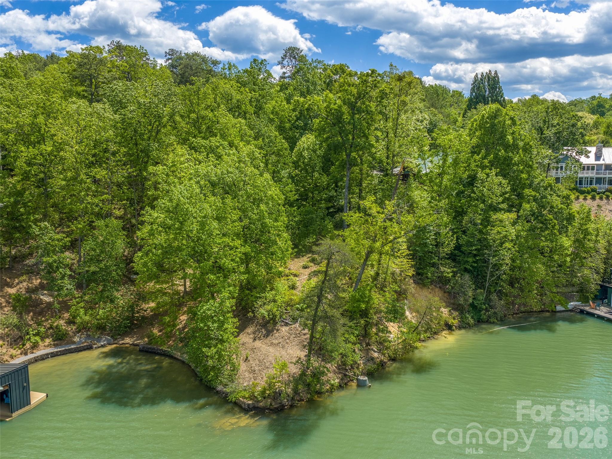 Acreage at 99999 Hawthorne Drive, Lake Lure, photo 2 of 20
