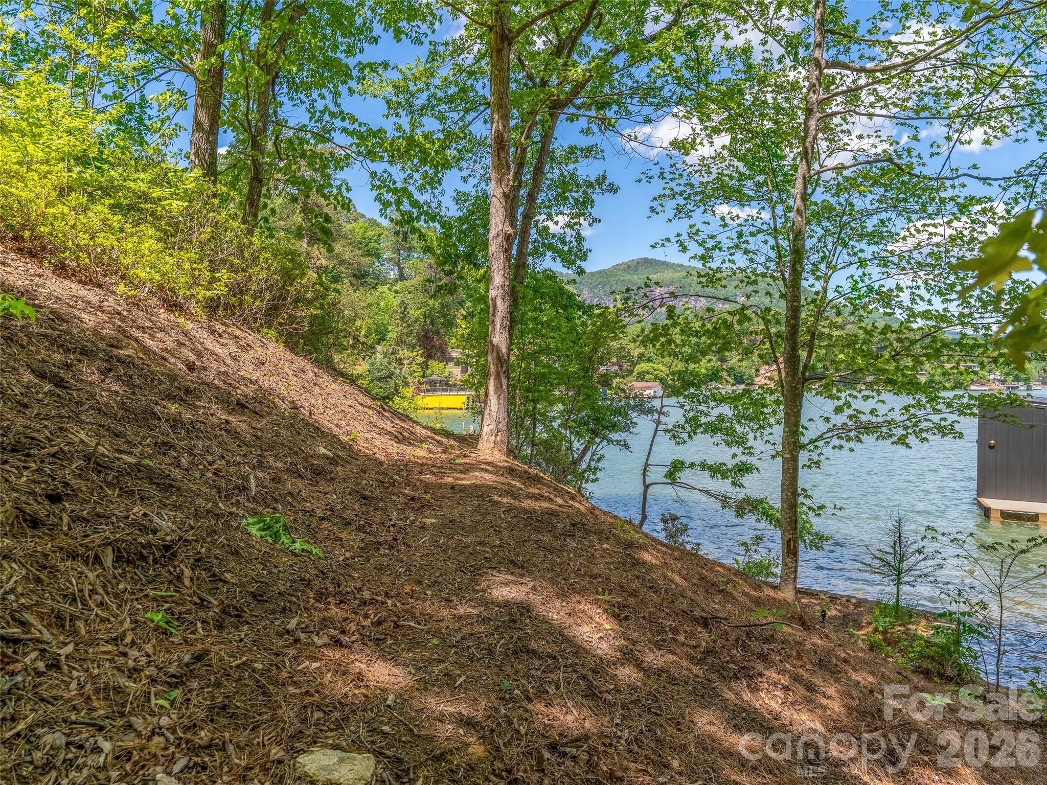 Acreage at 99999 Hawthorne Drive, Lake Lure, photo 10 of 20