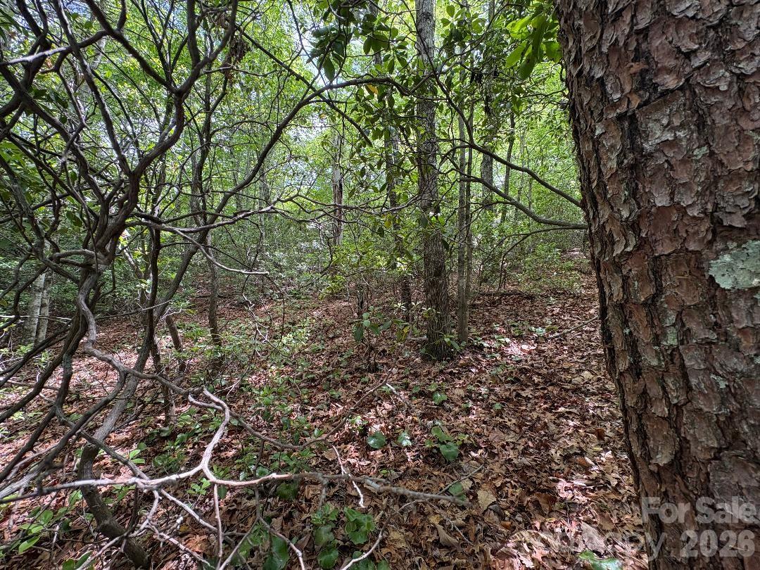 Lot at Lot 51B Wilderness Drive, Marion, photo 10 of 15