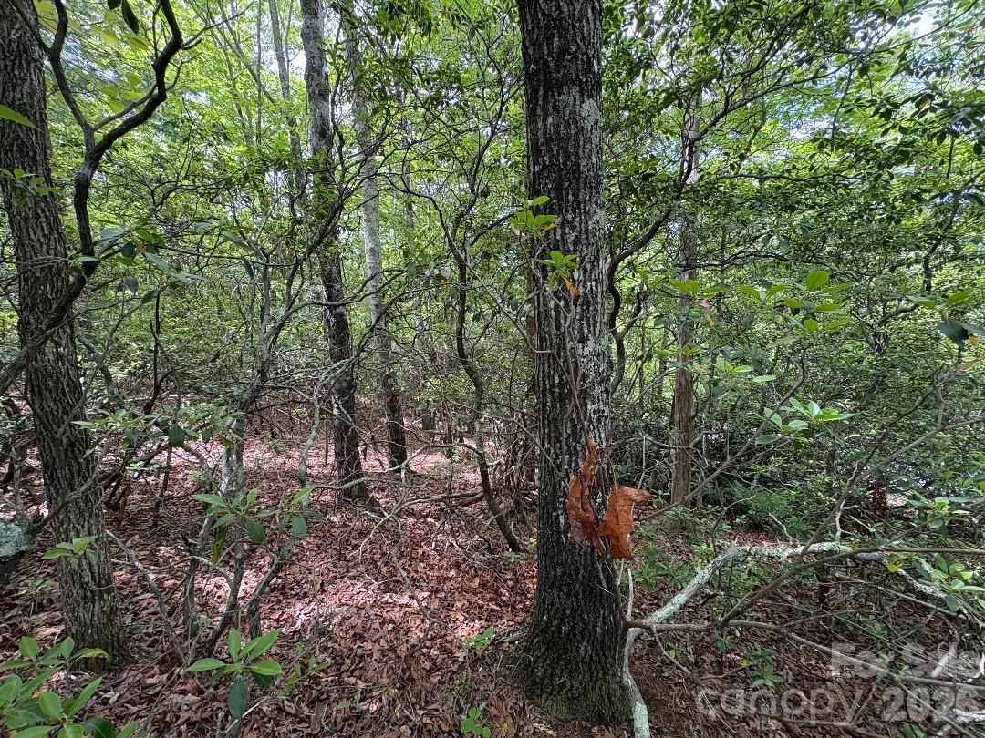 Lot at Lot 51B Wilderness Drive, Marion, photo 11 of 15