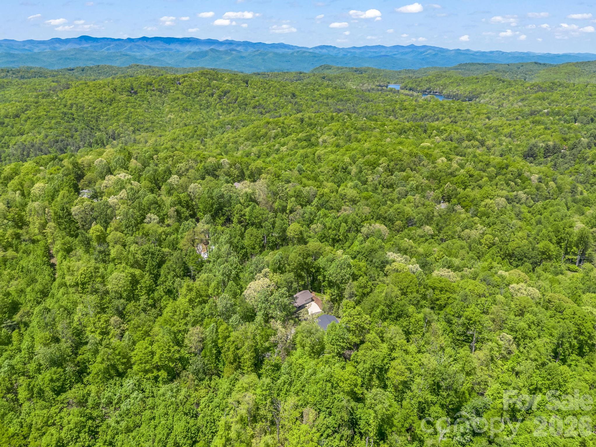Single Family Residence at 135 Half Moon Lane, Brevard, photo 42 of 44