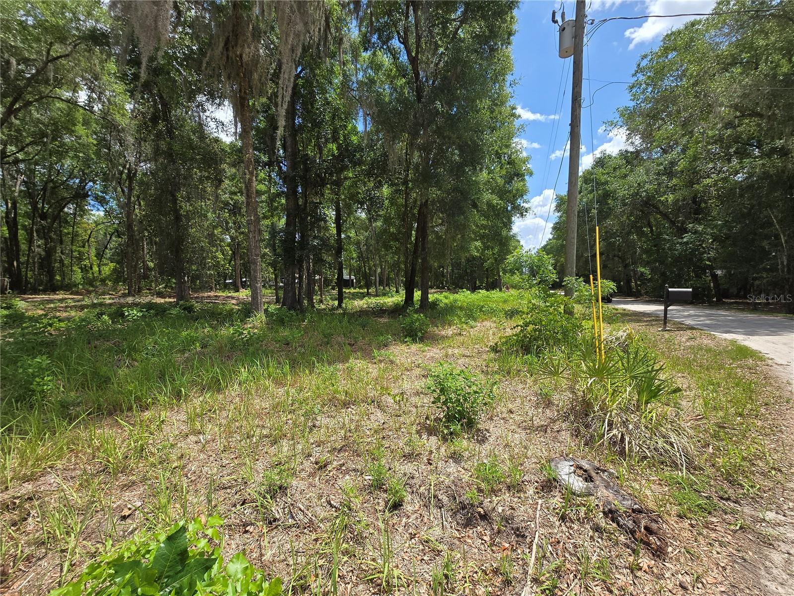Land at 0 SW 15TH PL, OCALA, photo 2 of 6
