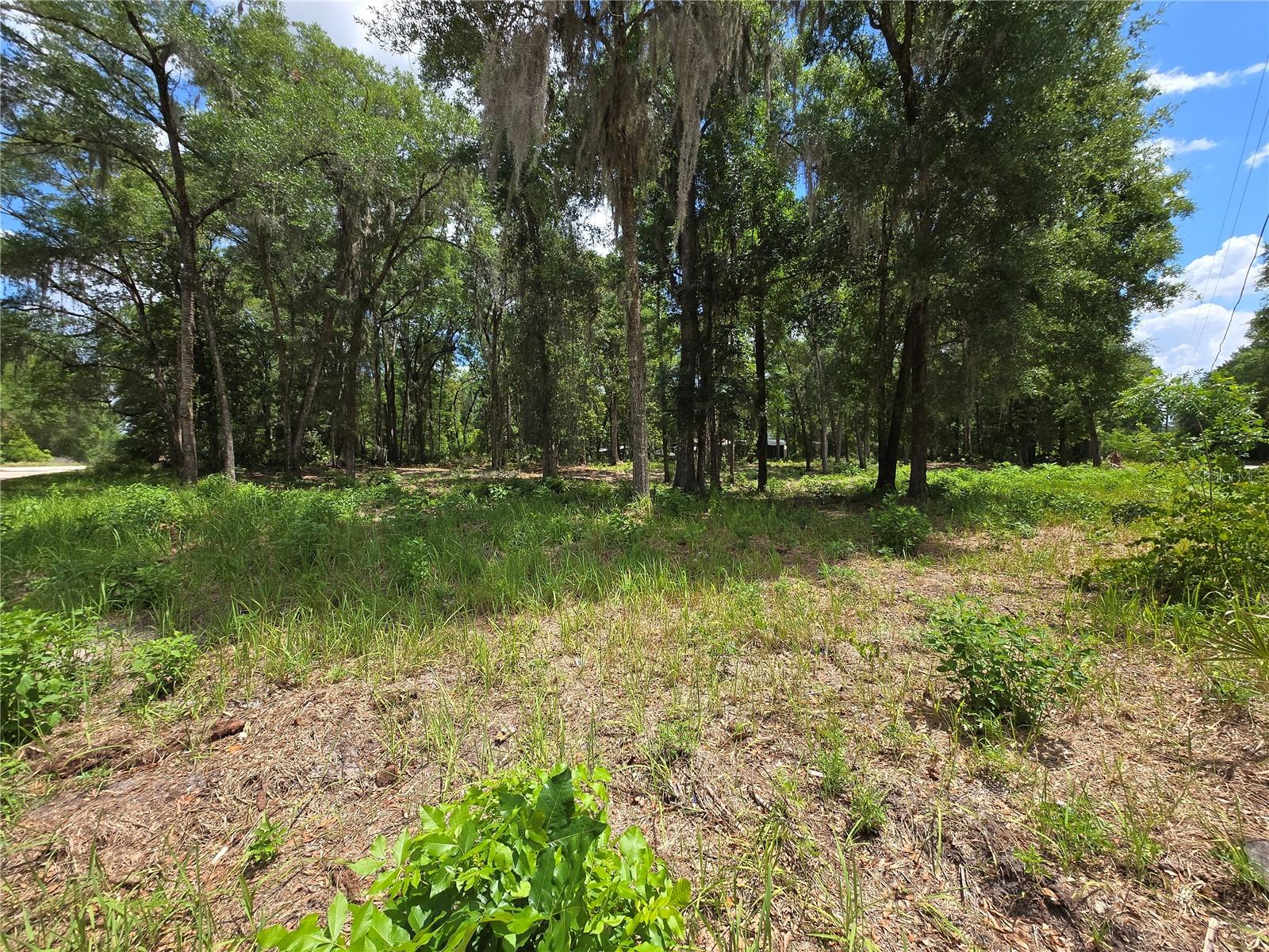 Land at 0 SW 15TH PL, OCALA, photo 3 of 6
