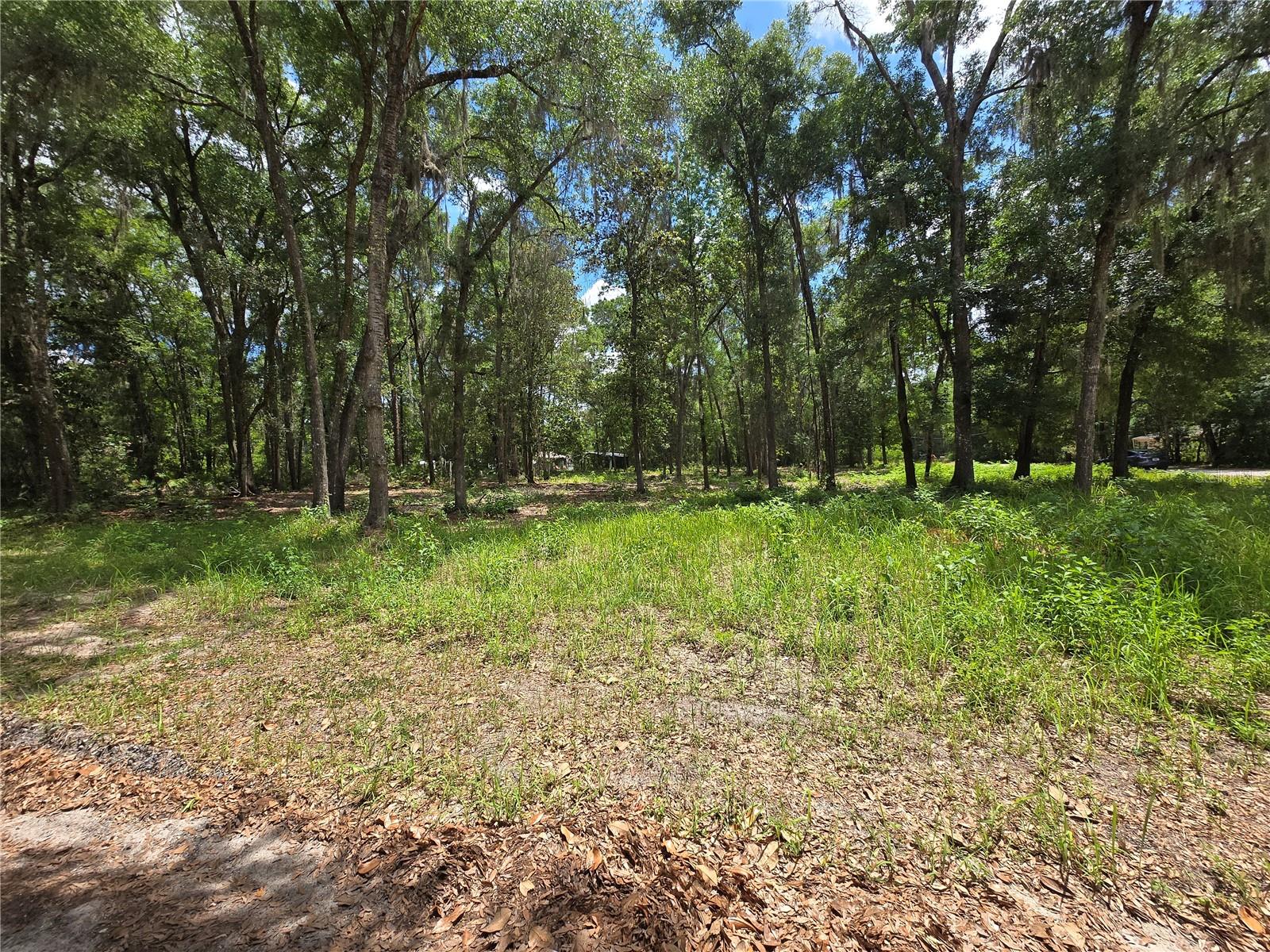 Land at 0 SW 15TH PL, OCALA, photo 4 of 6