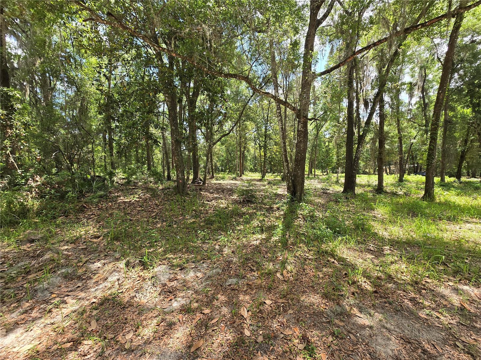 Land at 0 SW 15TH PL, OCALA, photo 5 of 6