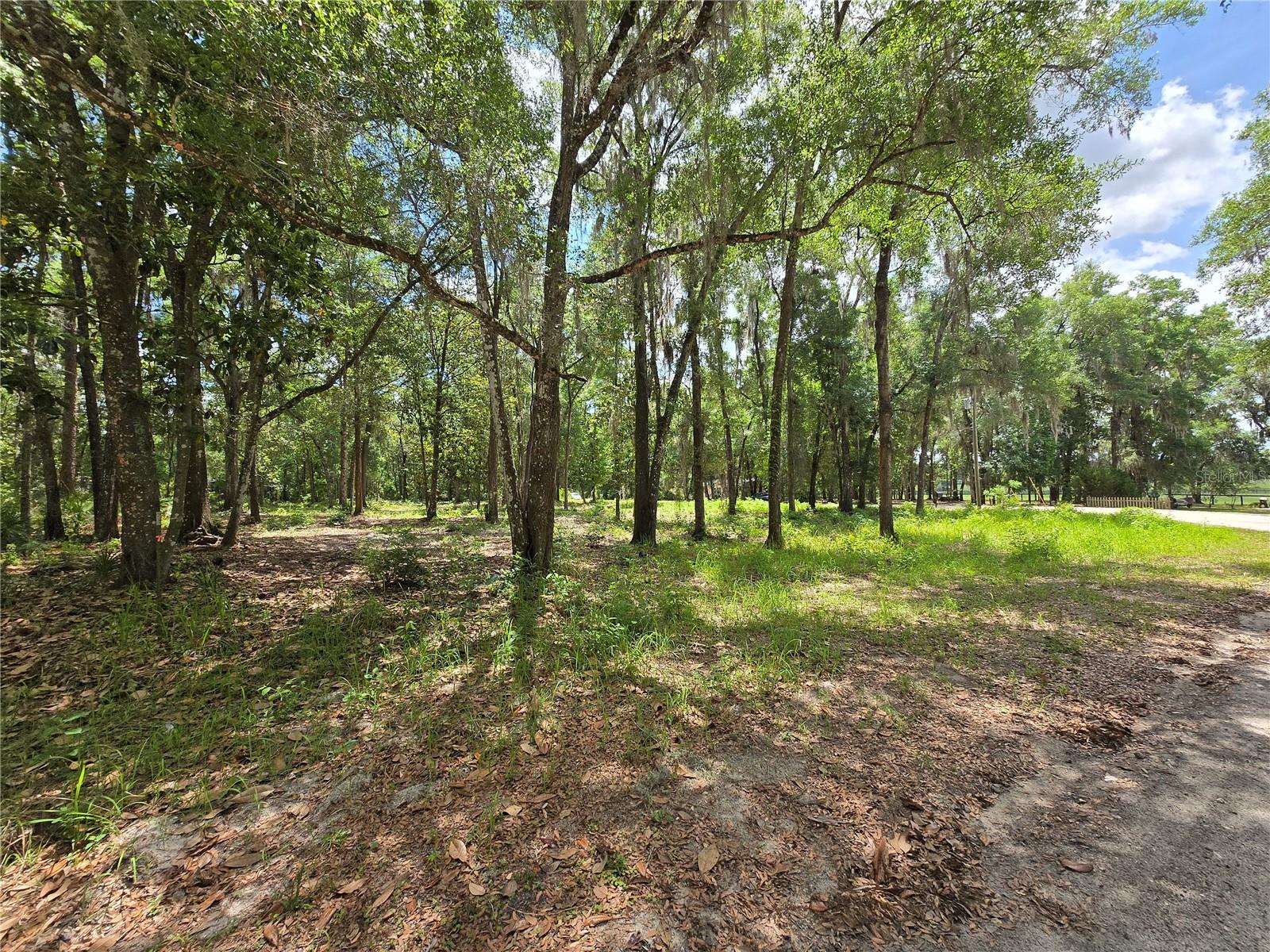 Land at 0 SW 15TH PL, OCALA, photo 6 of 6