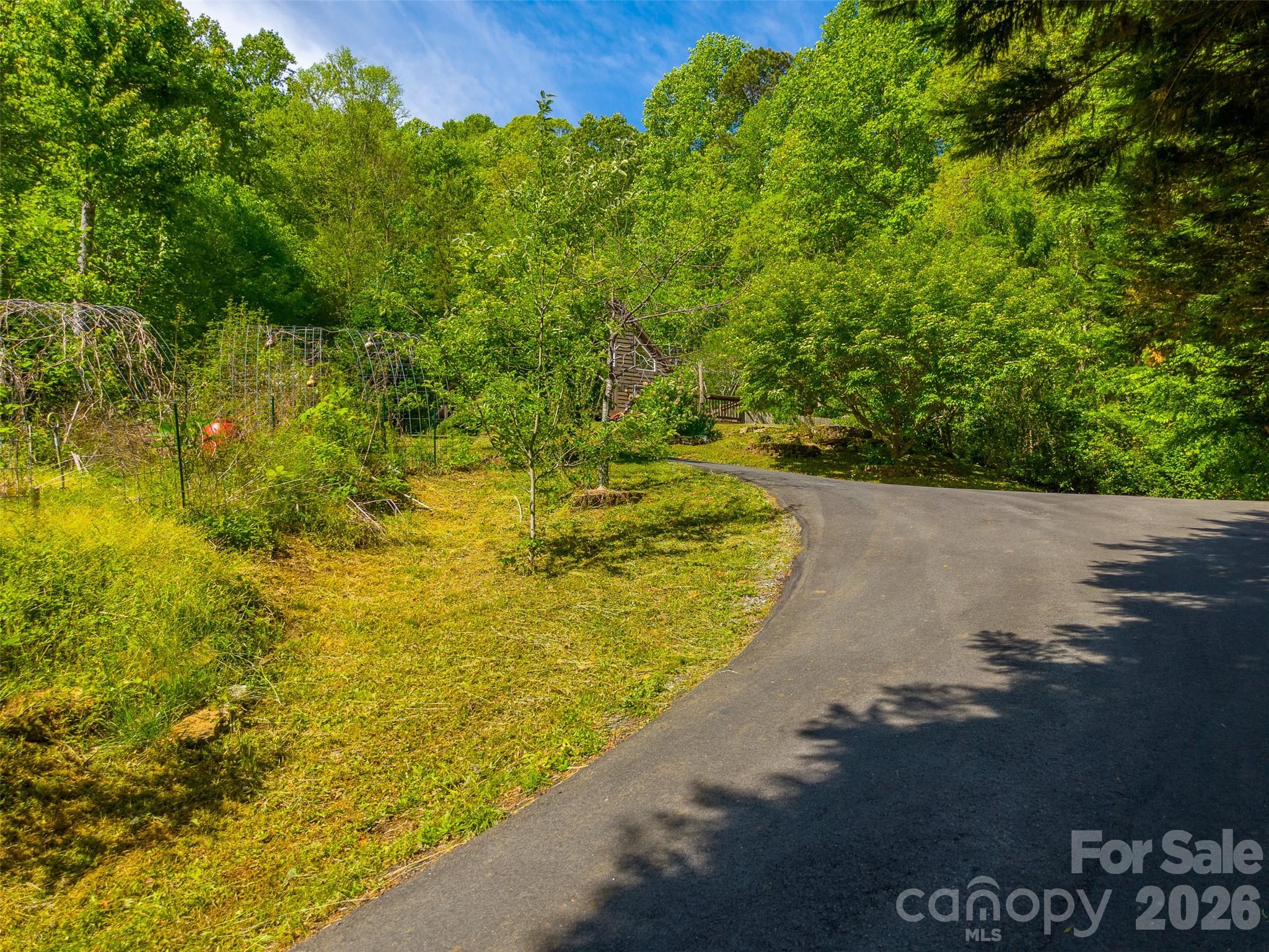 driveway - 110 Wyoming Drive, Sylva