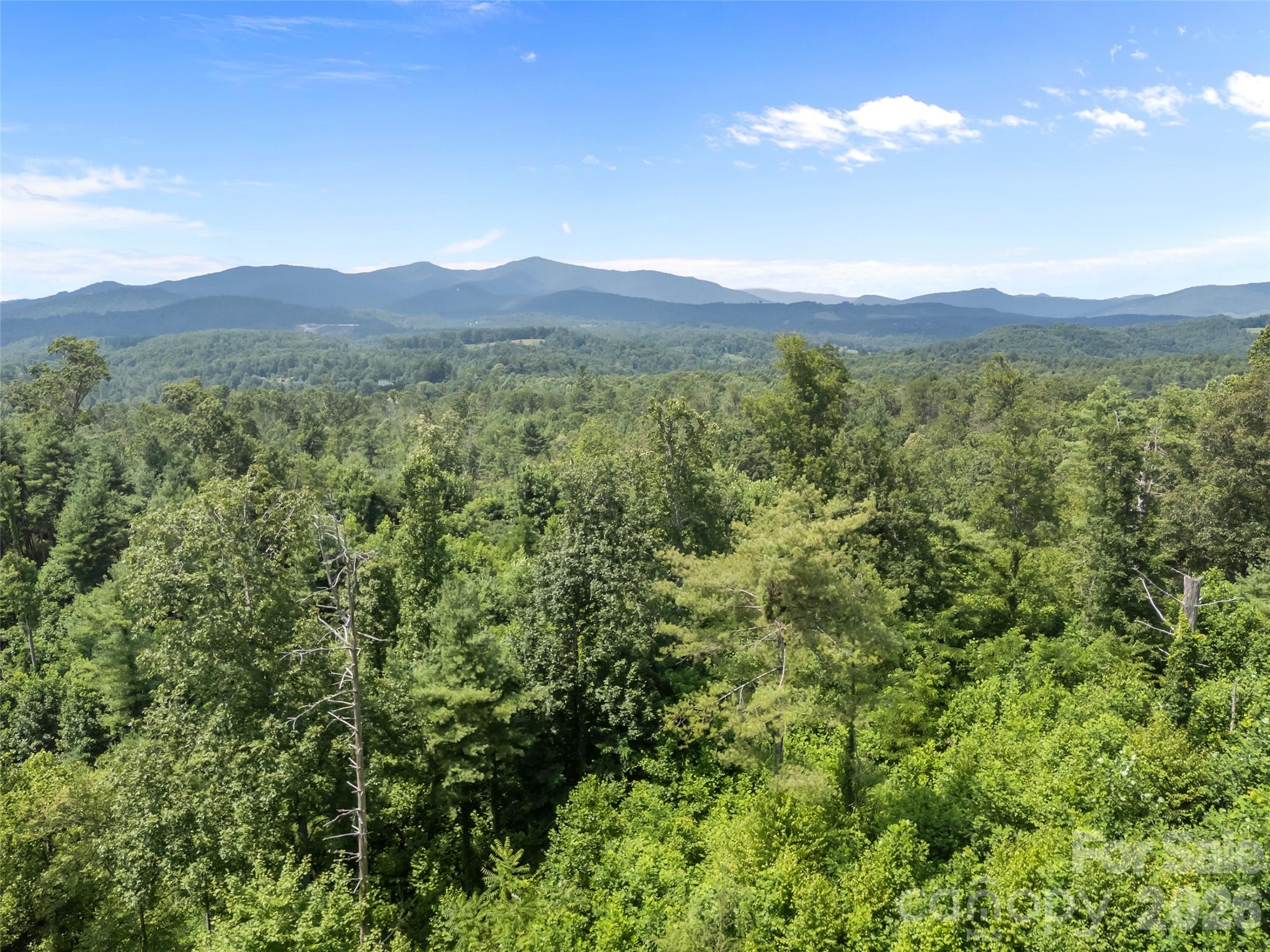 Single Family Residence at 1305 Halltown Road, Spruce Pine, photo 10 of 46