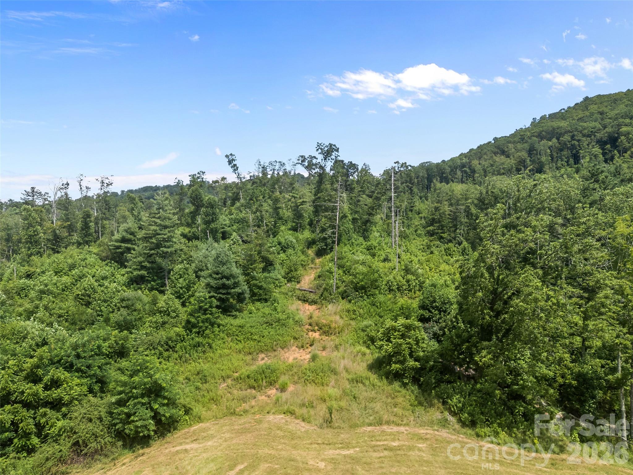 Single Family Residence at 1305 Halltown Road, Spruce Pine, photo 18 of 46