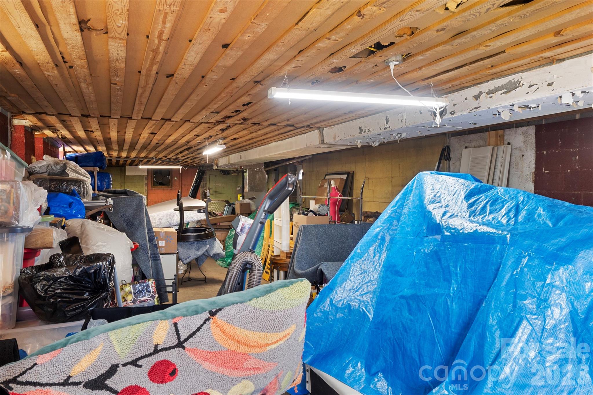 Basement - 301 N Fulton Street, Salisbury