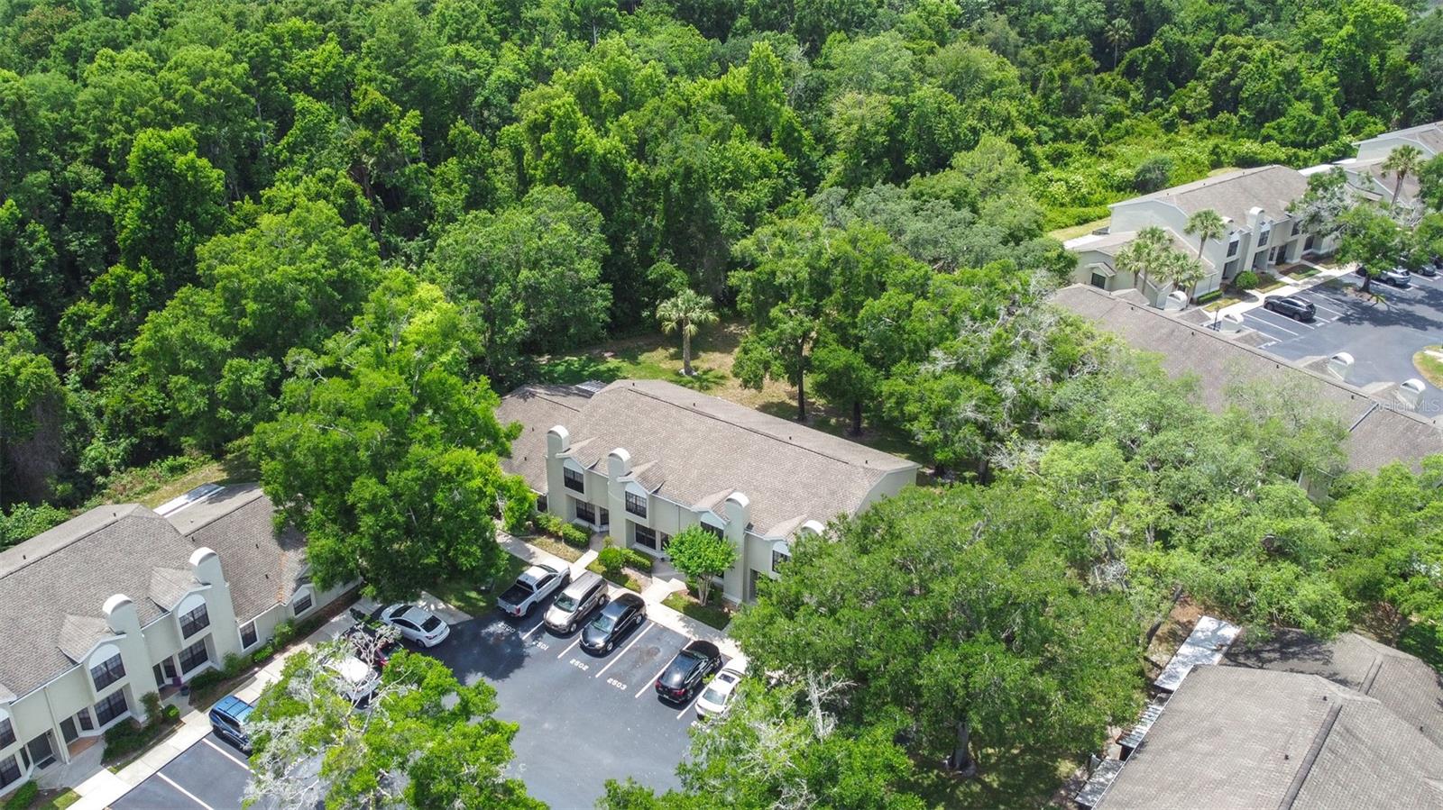 Condominium at 5100 BURCHETTE RD #2505, TAMPA, photo 4 of 47