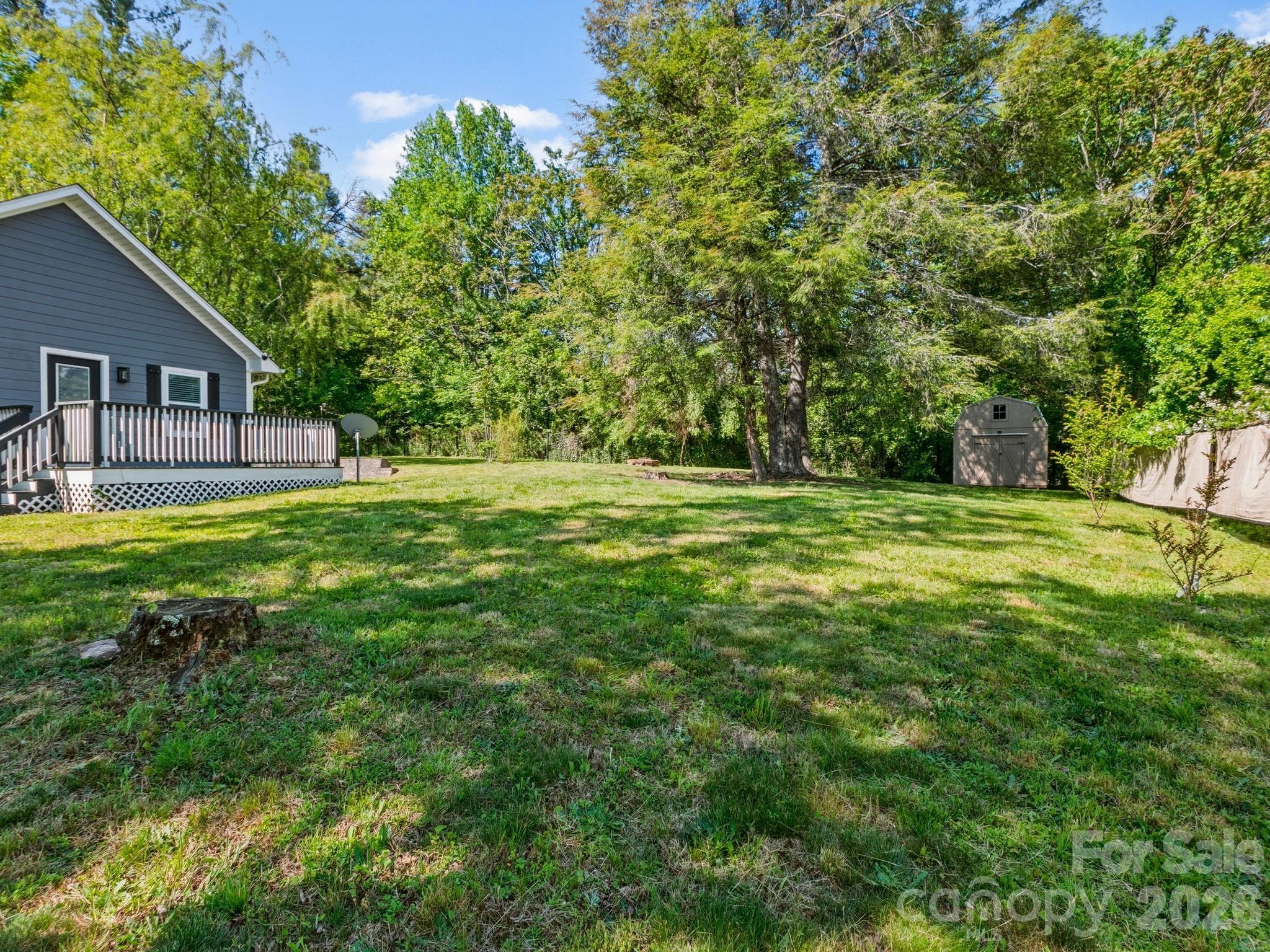 Large Back Yard - 3333 Chimney Rock Road, Hendersonville