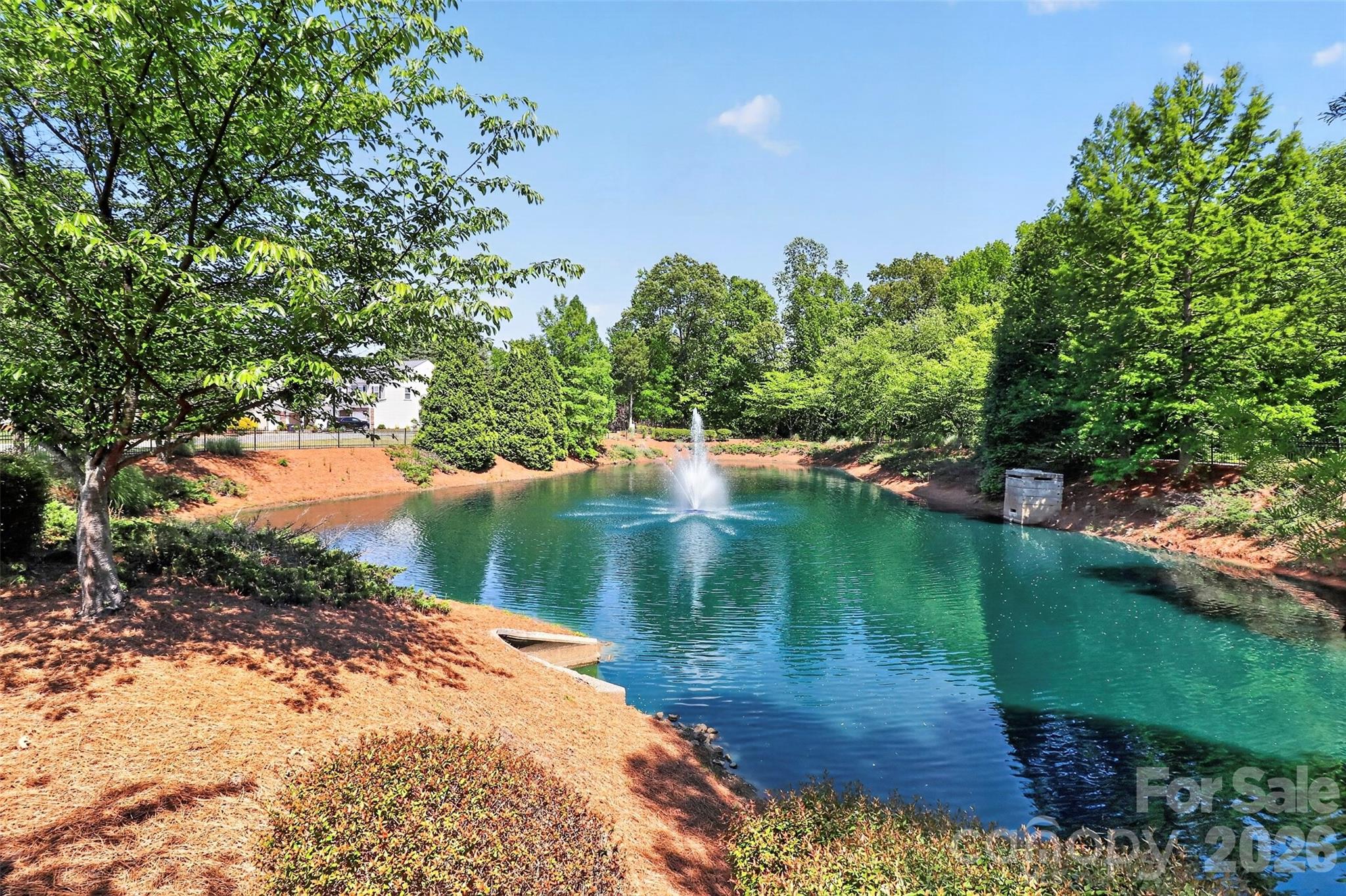 Townhouse at 529 Hunters Dance Road, Fort Mill, photo 14 of 14