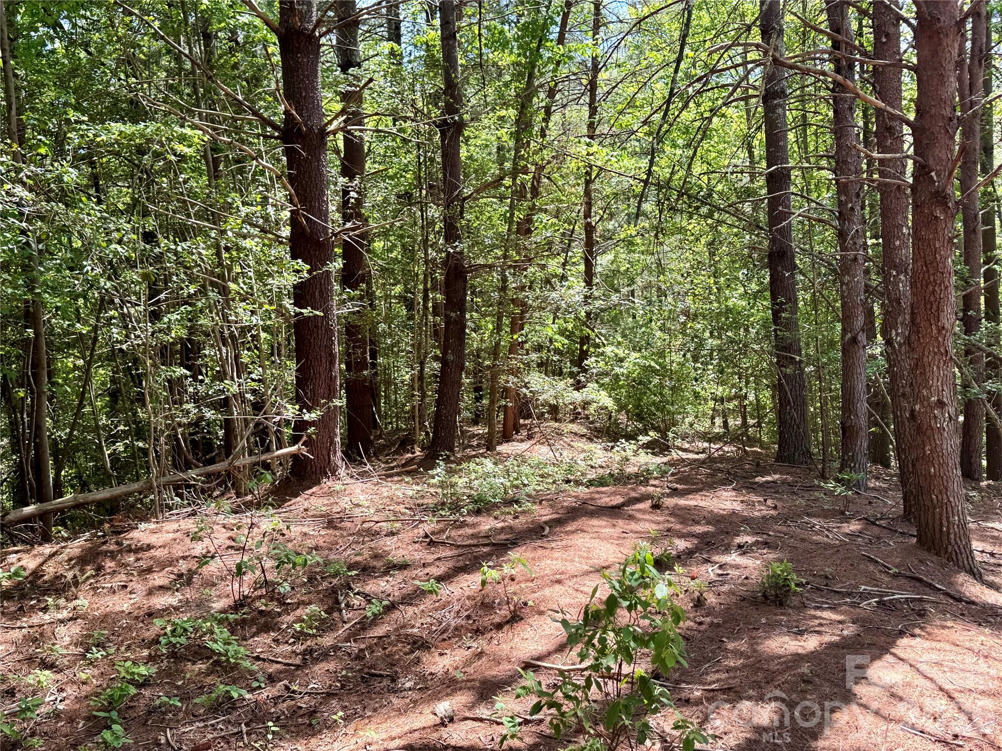 Choose your own house plan and builder. The Architectural Review Board must approve your plan and your builder. Minimum heated living area (home size) is 1,500 sq ft (can be on 2 levels, so a 750 sq ft footprint will work if both levels are finished). - Lot 104 Johns Ridge Parkway, Lenoir
