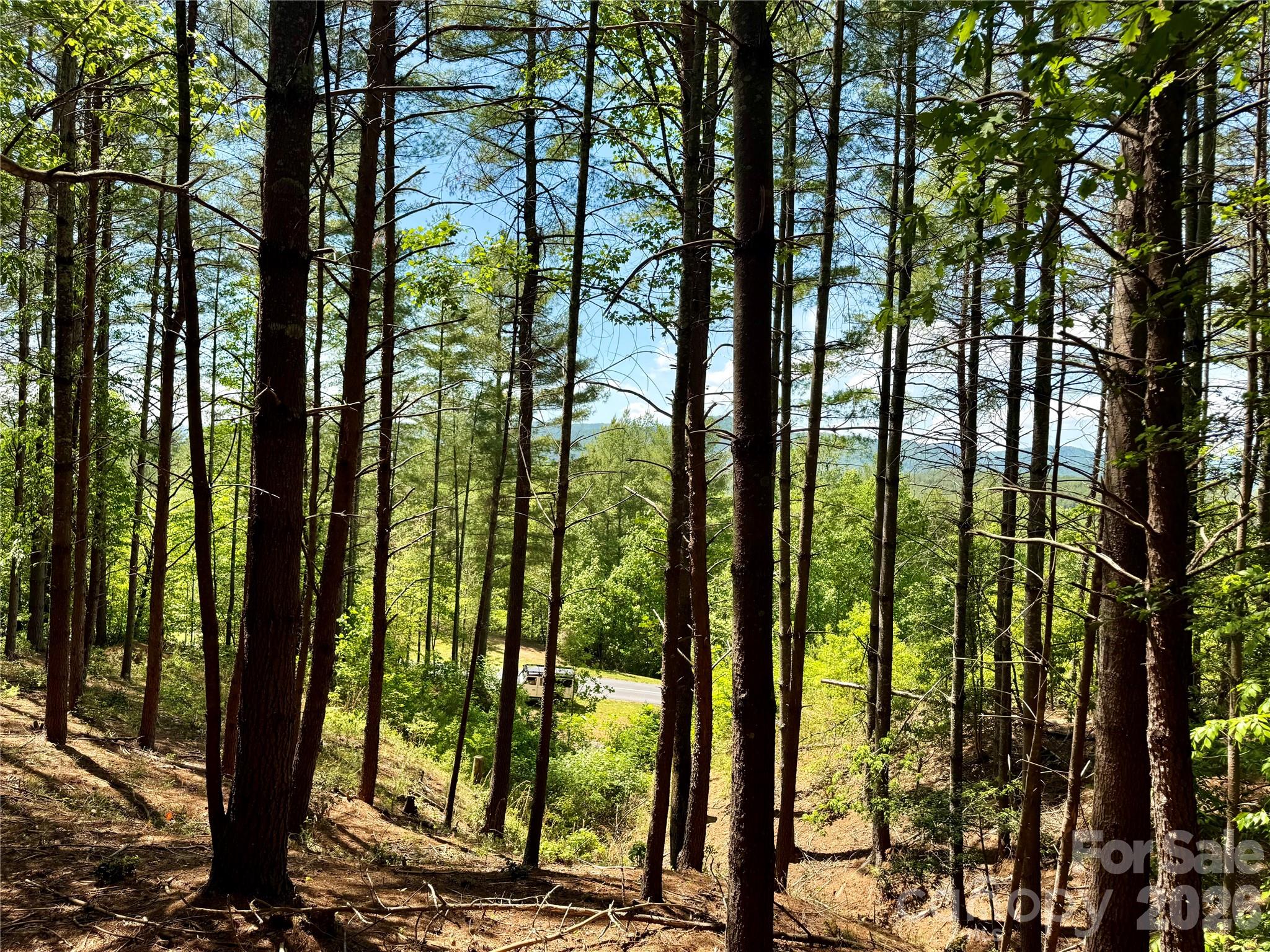 Builder and lender contact info is available - Lot 104 Johns Ridge Parkway, Lenoir