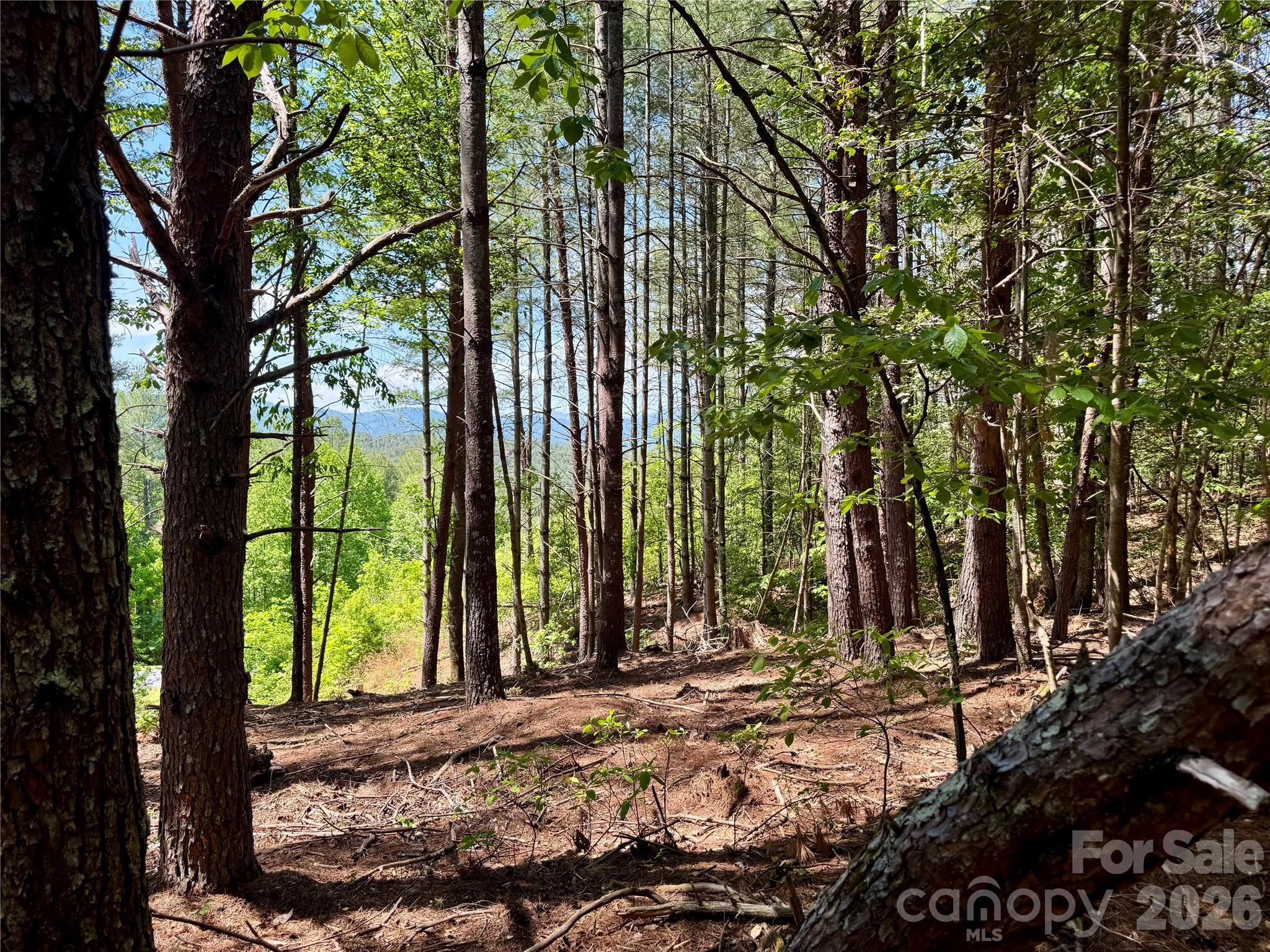 The Architectural Standards allow more than one home on the lot, although it cannot be subdivided. - Lot 104 Johns Ridge Parkway, Lenoir