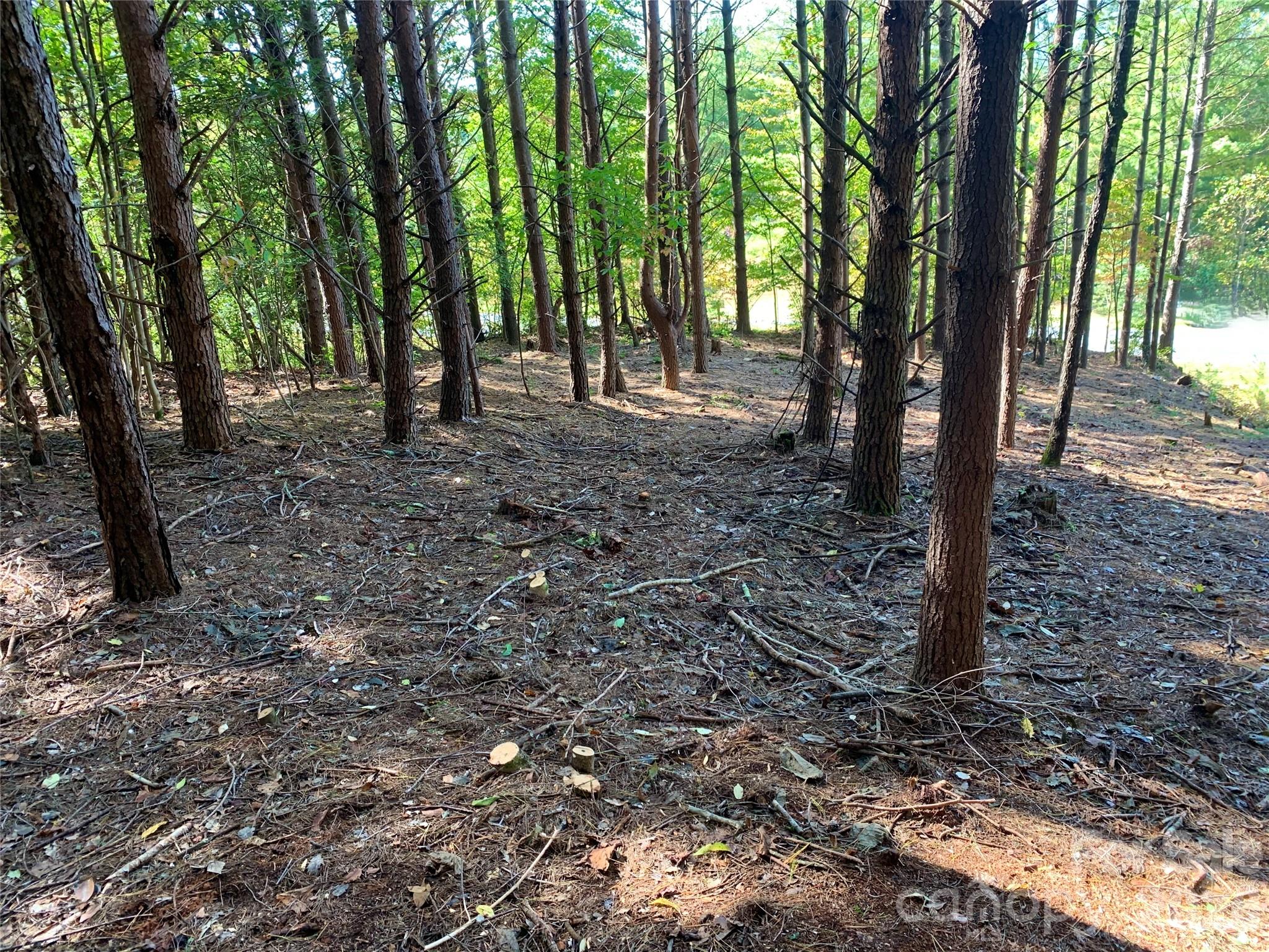 Acreage at Lot 104 Johns Ridge Parkway, Lenoir, photo 9 of 47