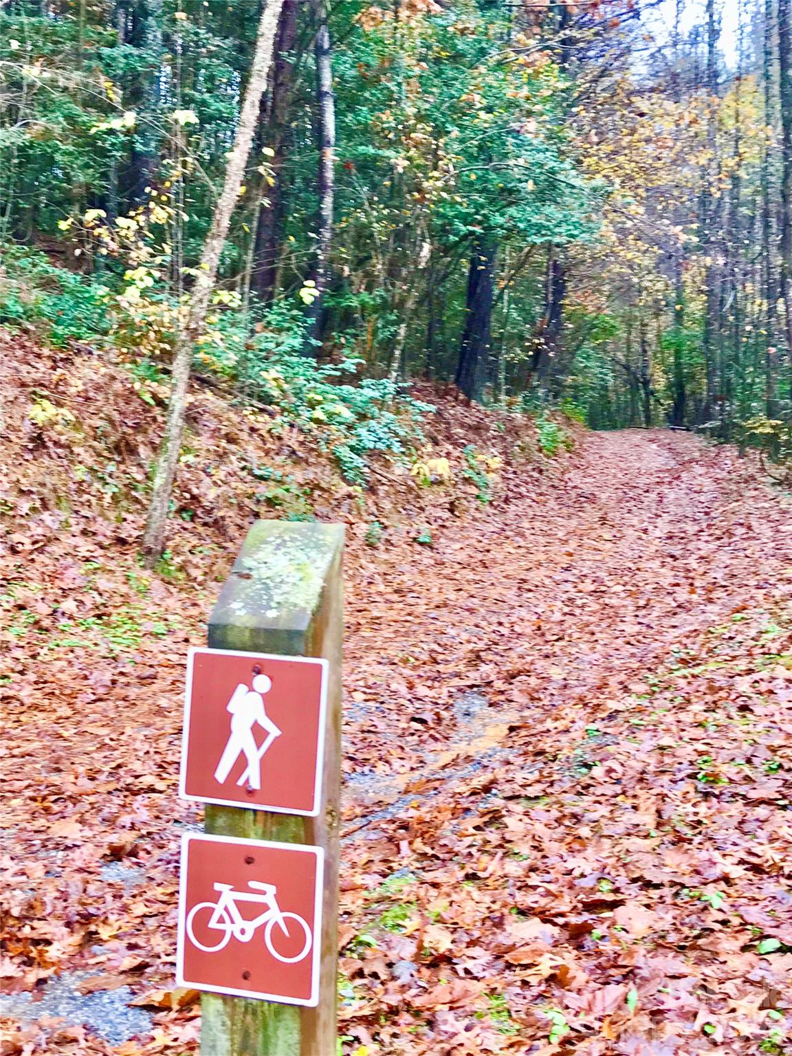 The Coves is gated and the trail system that winds throughout the community is only available to Coves owners. There are horse trails, hiking, and biking trails, and UTV trails. (UTVs have steering wheels. ATVs have handle bars and they are not allowed at The Coves) - Lot 104 Johns Ridge Parkway, Lenoir