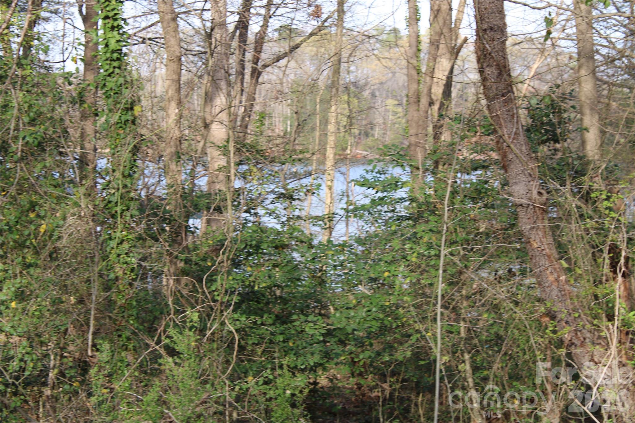 LOOK FOR ORANGE SURVEY TAPE - Lot 16 Lake Front Drive, Catawba