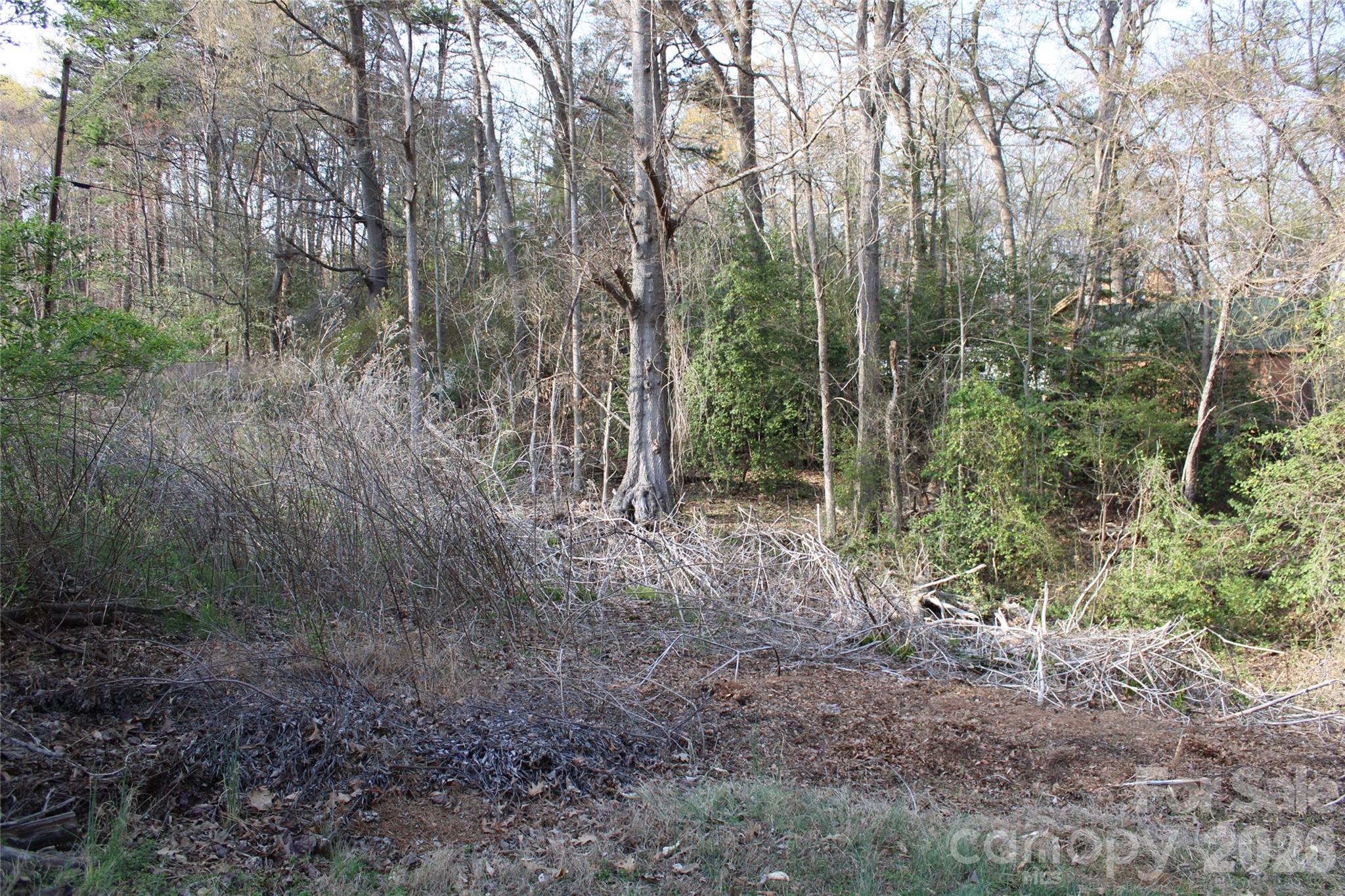 LOOK FOR ORANGE SURVEY TAPE - Lot 16 Lake Front Drive, Catawba