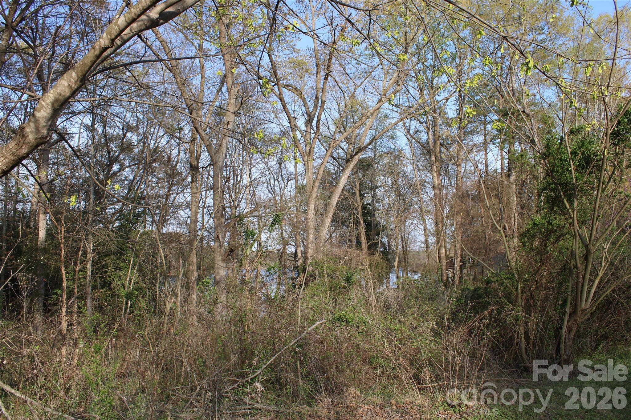 Lot at Lot 16 Lake Front Drive, Catawba, photo 18 of 41
