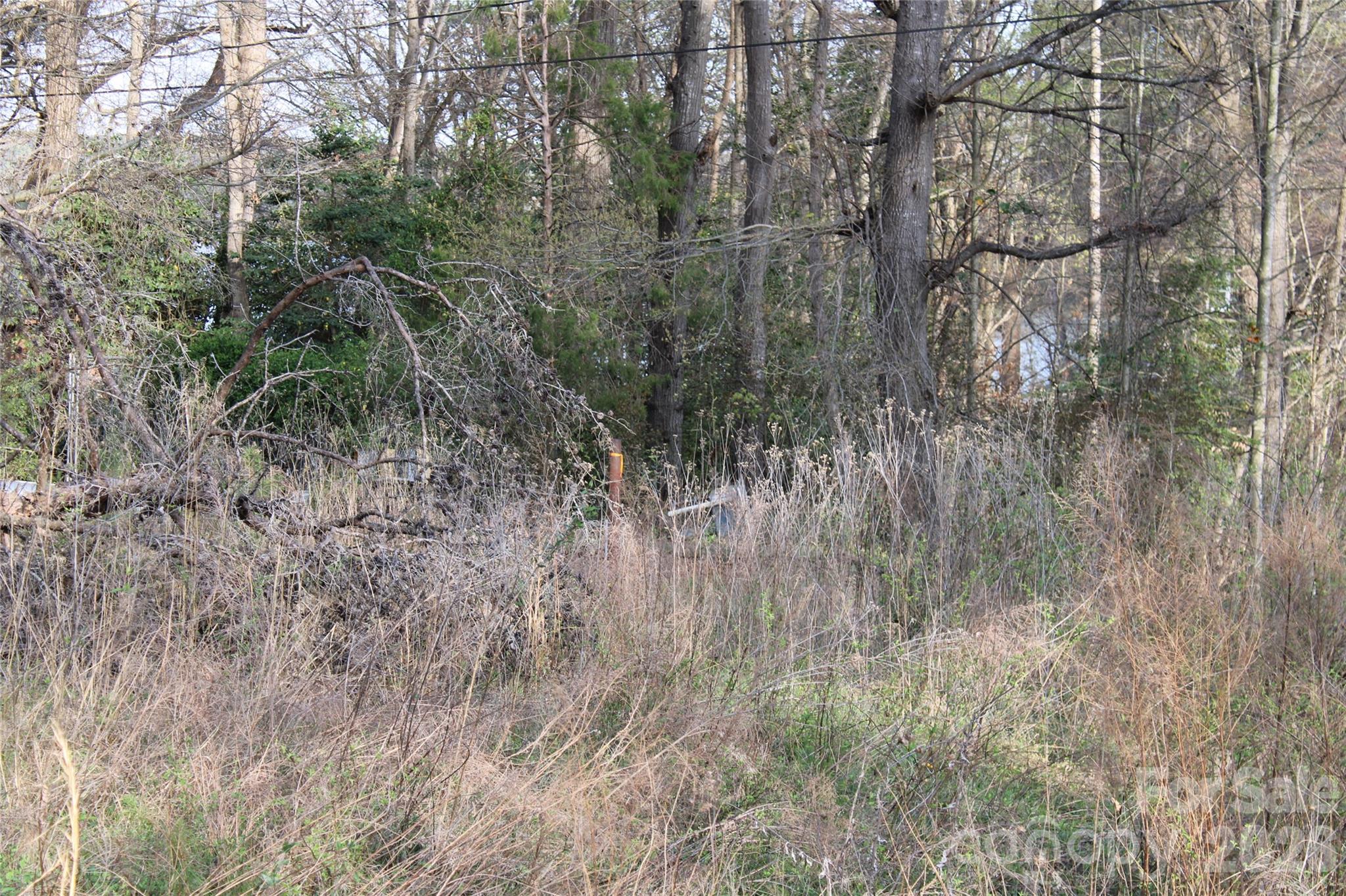 Lot at Lot 16 Lake Front Drive, Catawba, photo 21 of 41