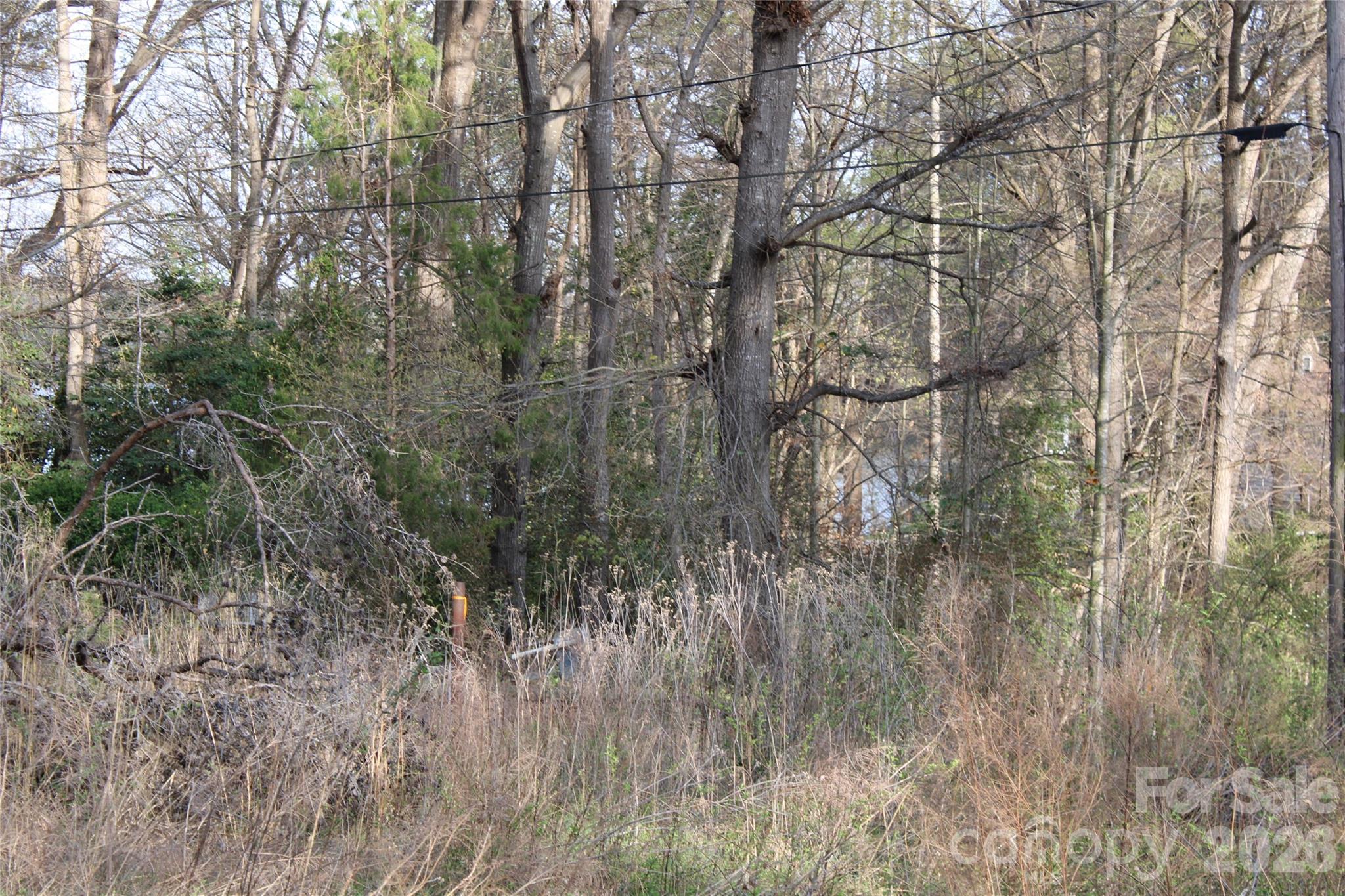 Lot at Lot 16 Lake Front Drive, Catawba, photo 23 of 41