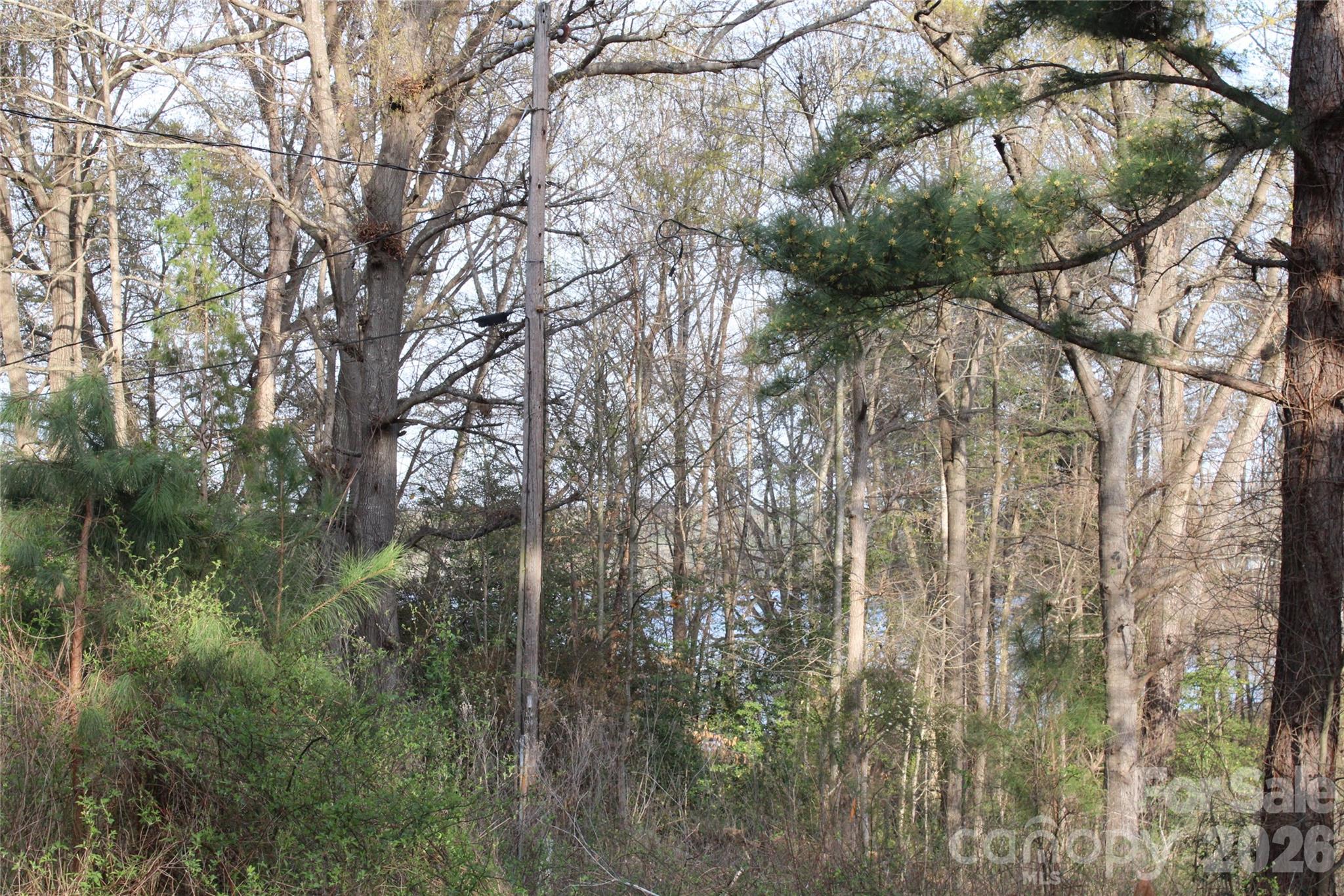 Lot at Lot 16 Lake Front Drive, Catawba, photo 30 of 41