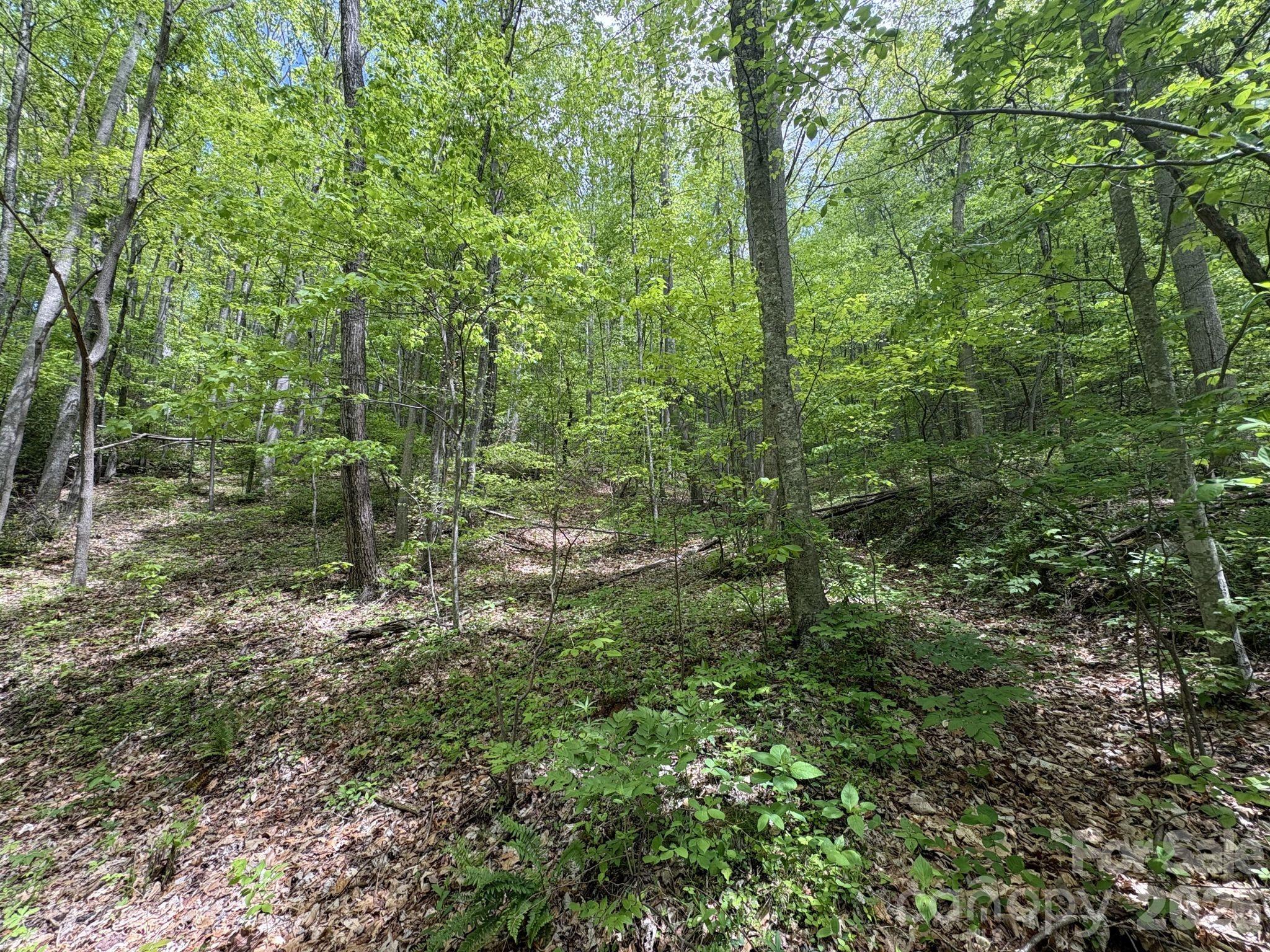 This land has the perfect elevation for a shelf building pad - 999999 Harwood Road, Barnardsville