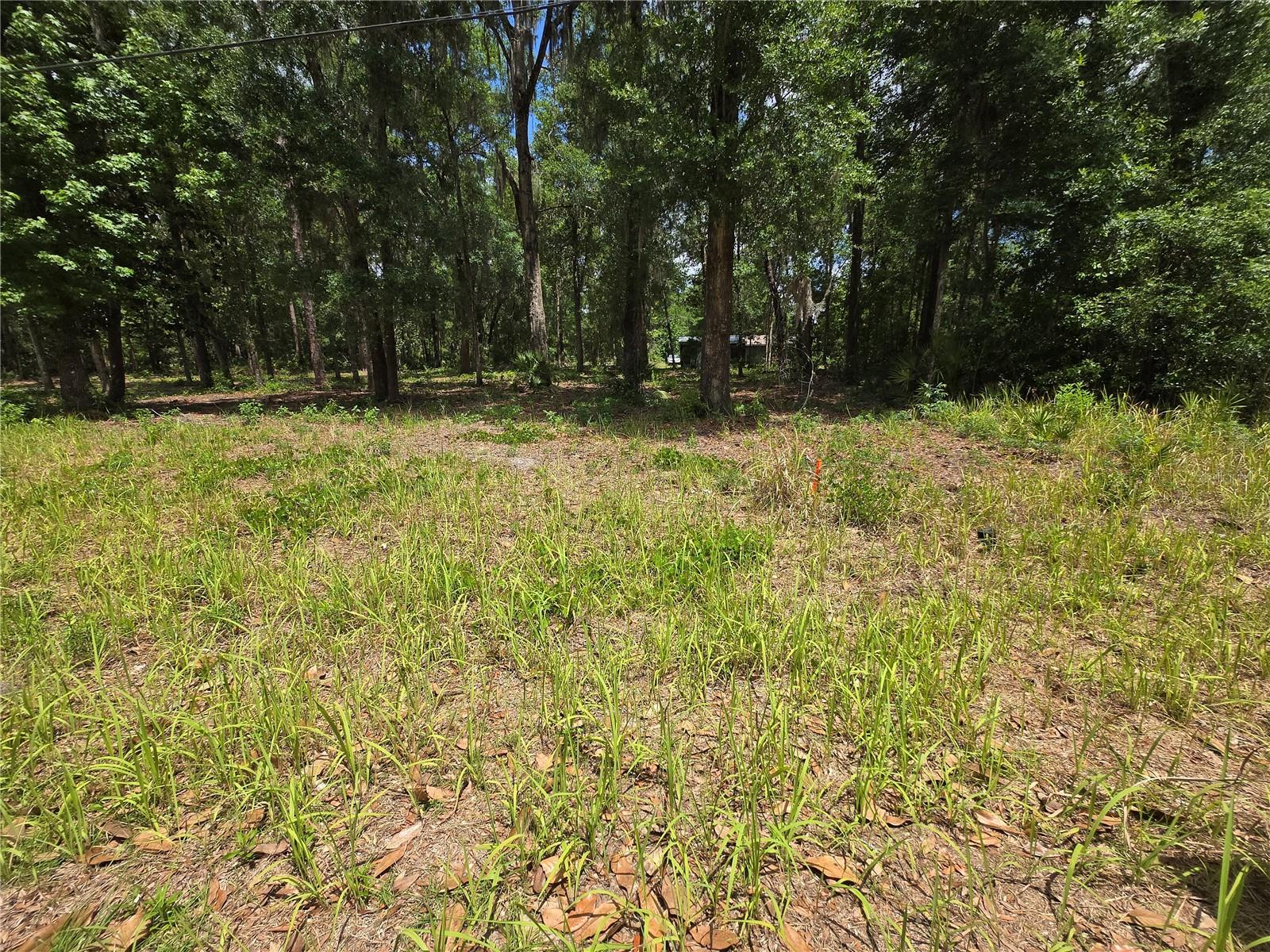 Land at 0 SW 15TH PL, OCALA, photo 2 of 6