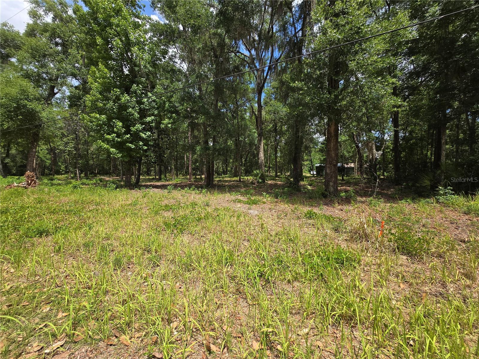 Land at 0 SW 15TH PL, OCALA, photo 3 of 6