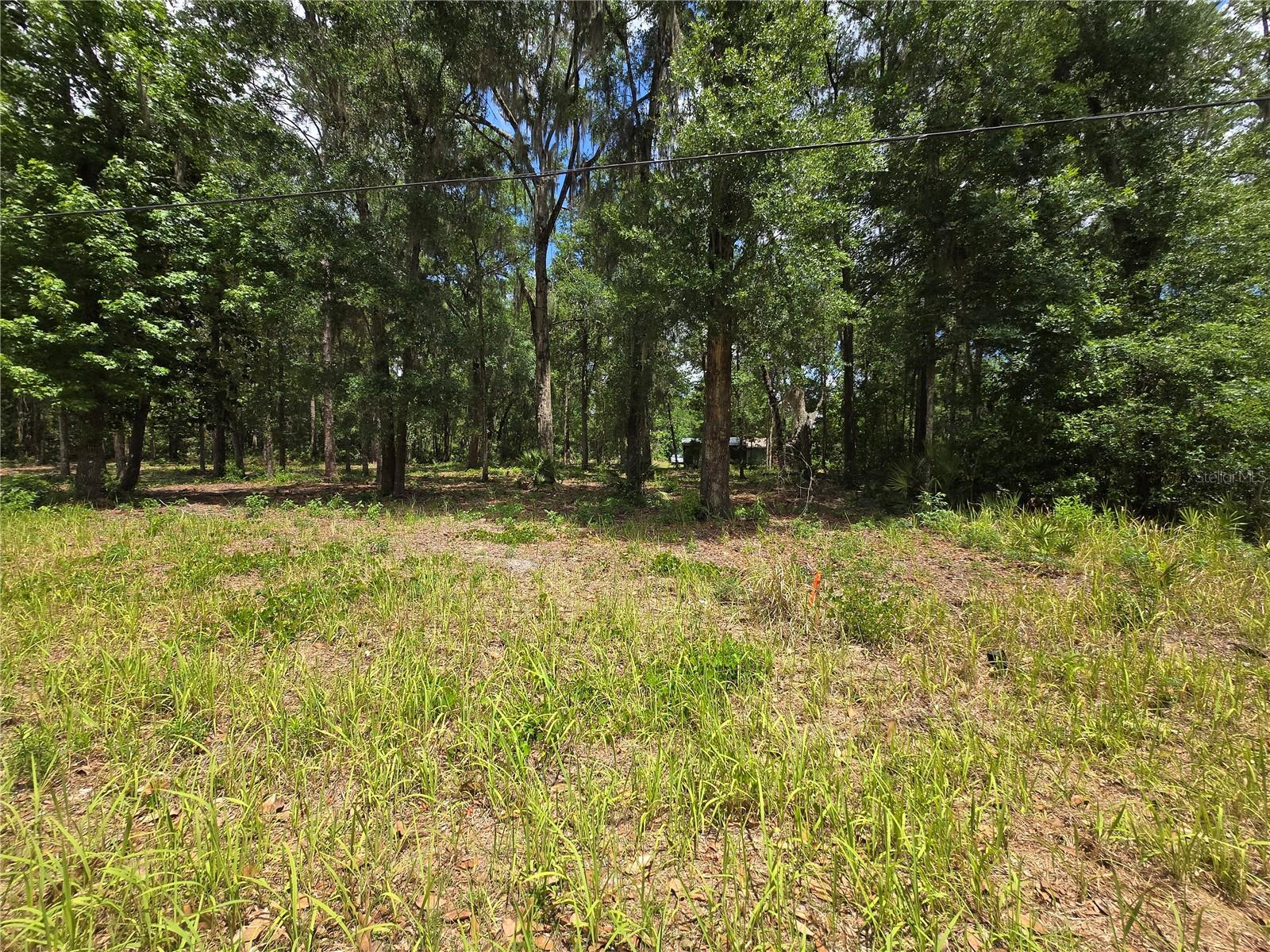 Land at 0 SW 15TH PL, OCALA, photo 4 of 6