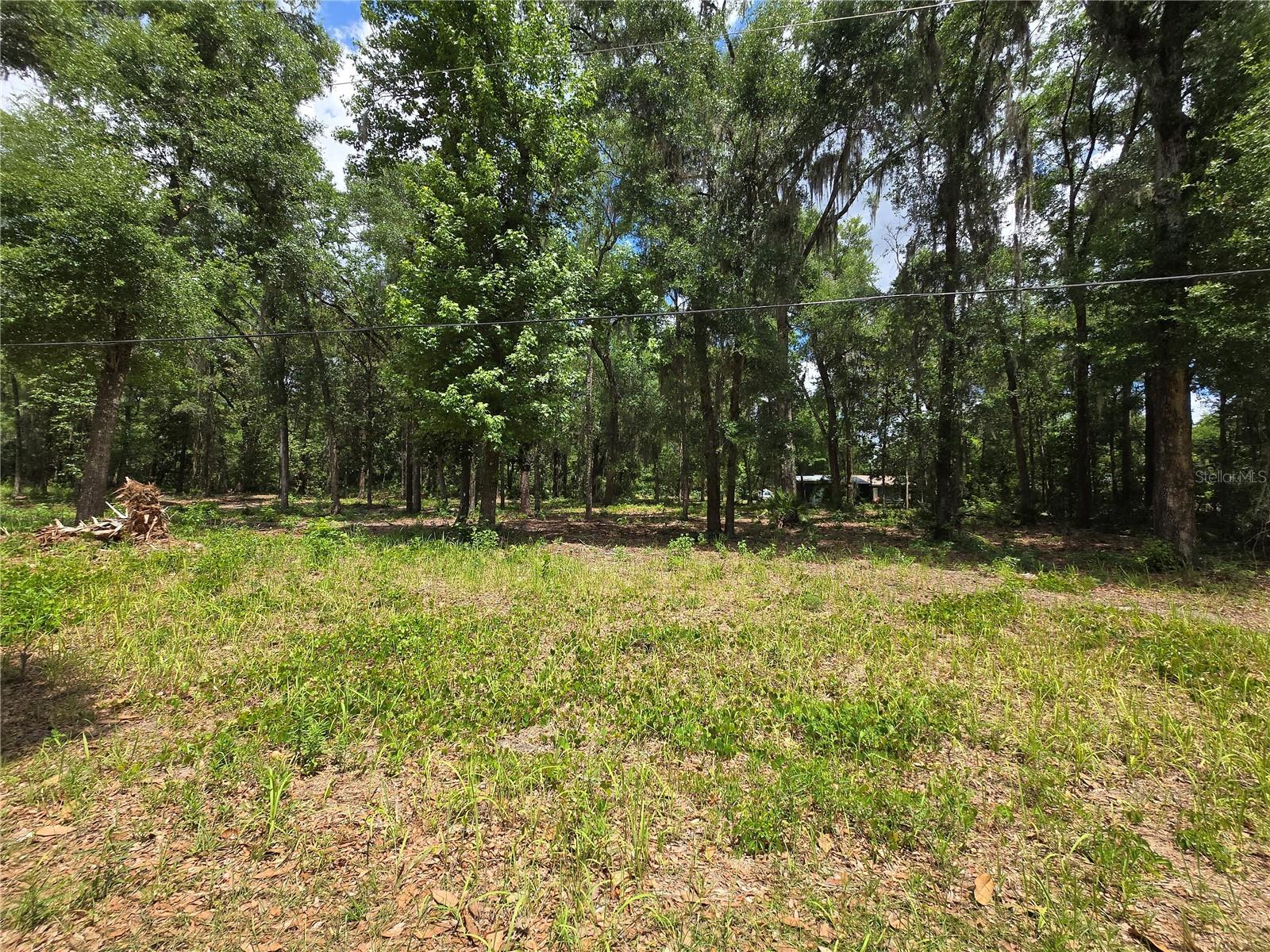 Land at 0 SW 15TH PL, OCALA, photo 5 of 6