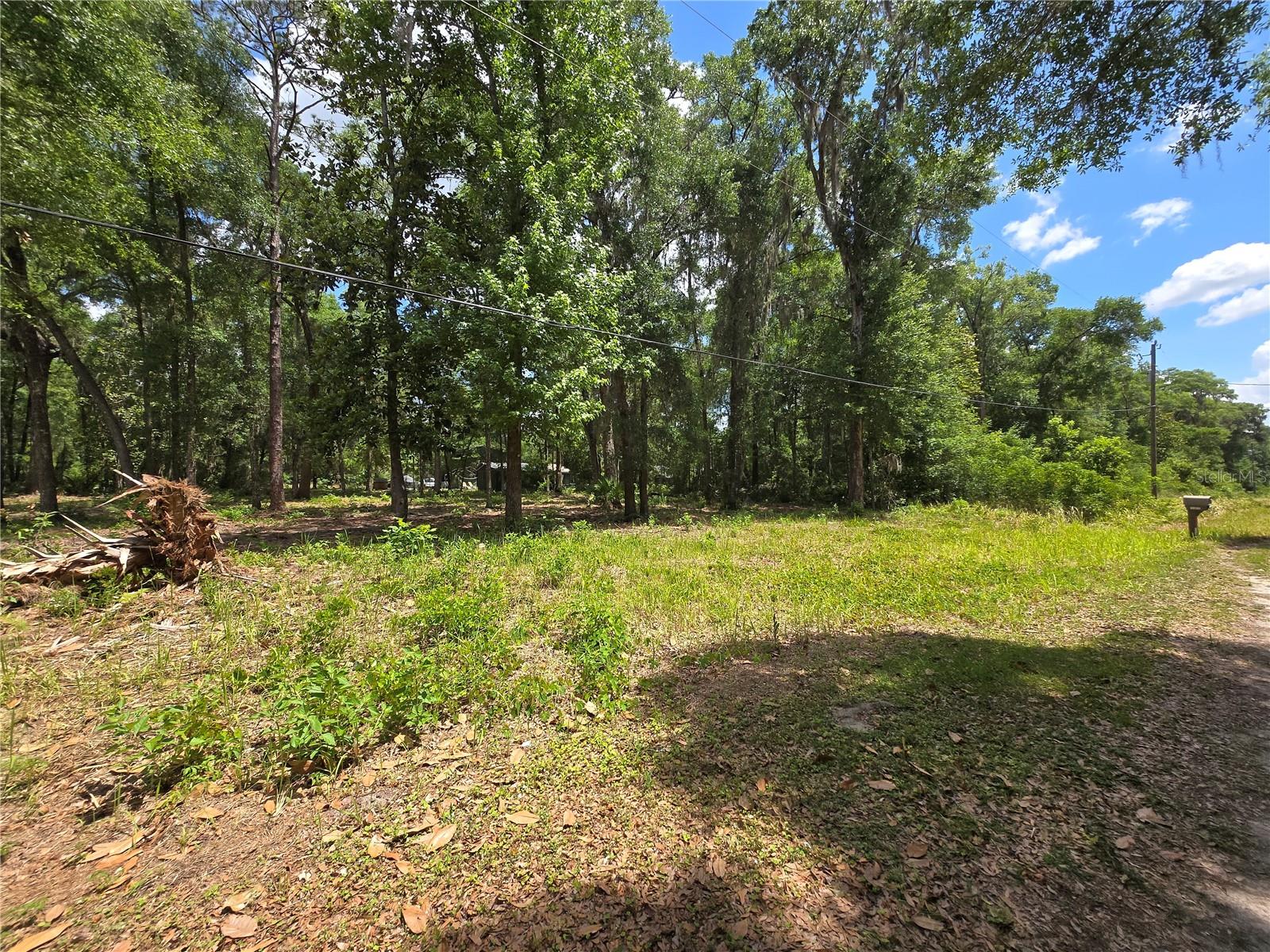 Land at 0 SW 15TH PL, OCALA, photo 6 of 6