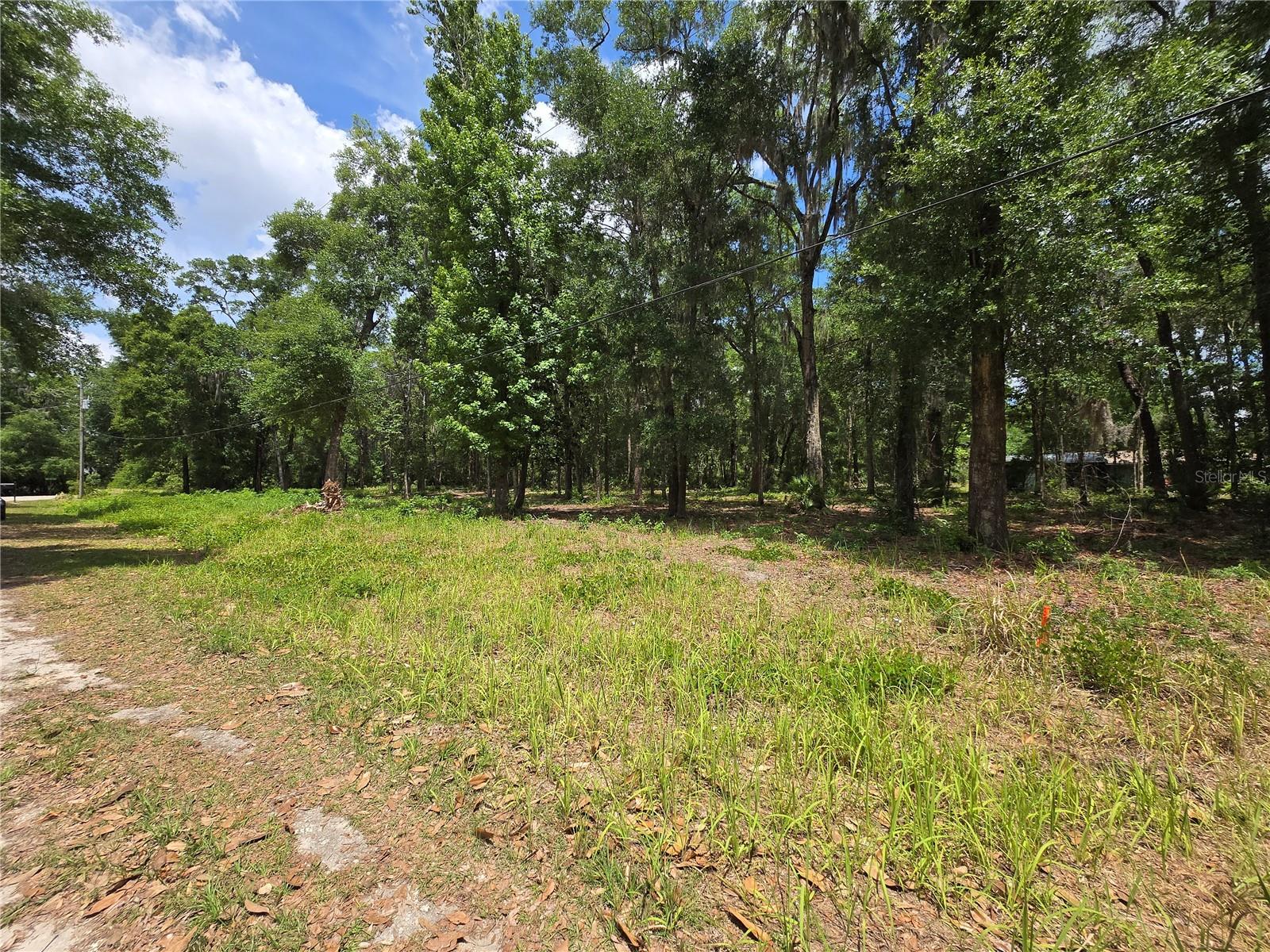 Land at 0 SW 15TH PL, OCALA, photo 2 of 5