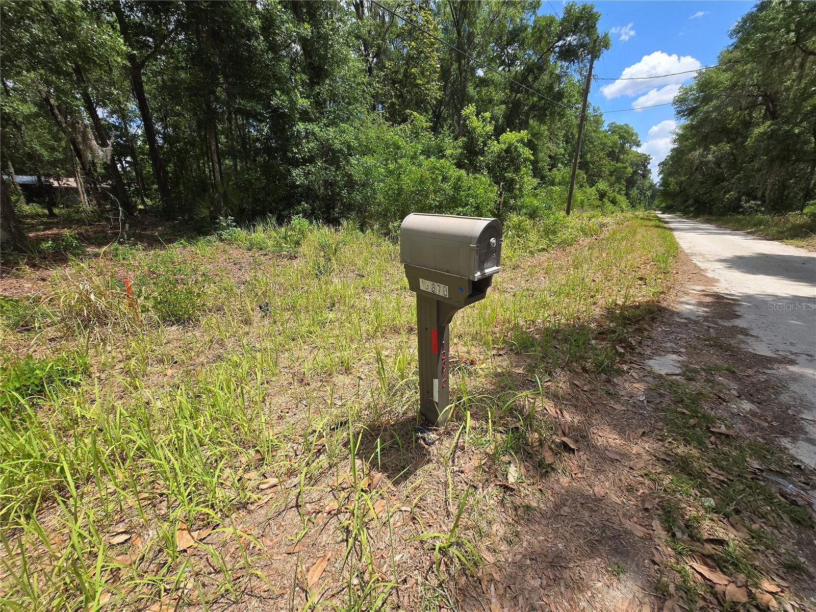 Land at 0 SW 15TH PL, OCALA, photo 3 of 5